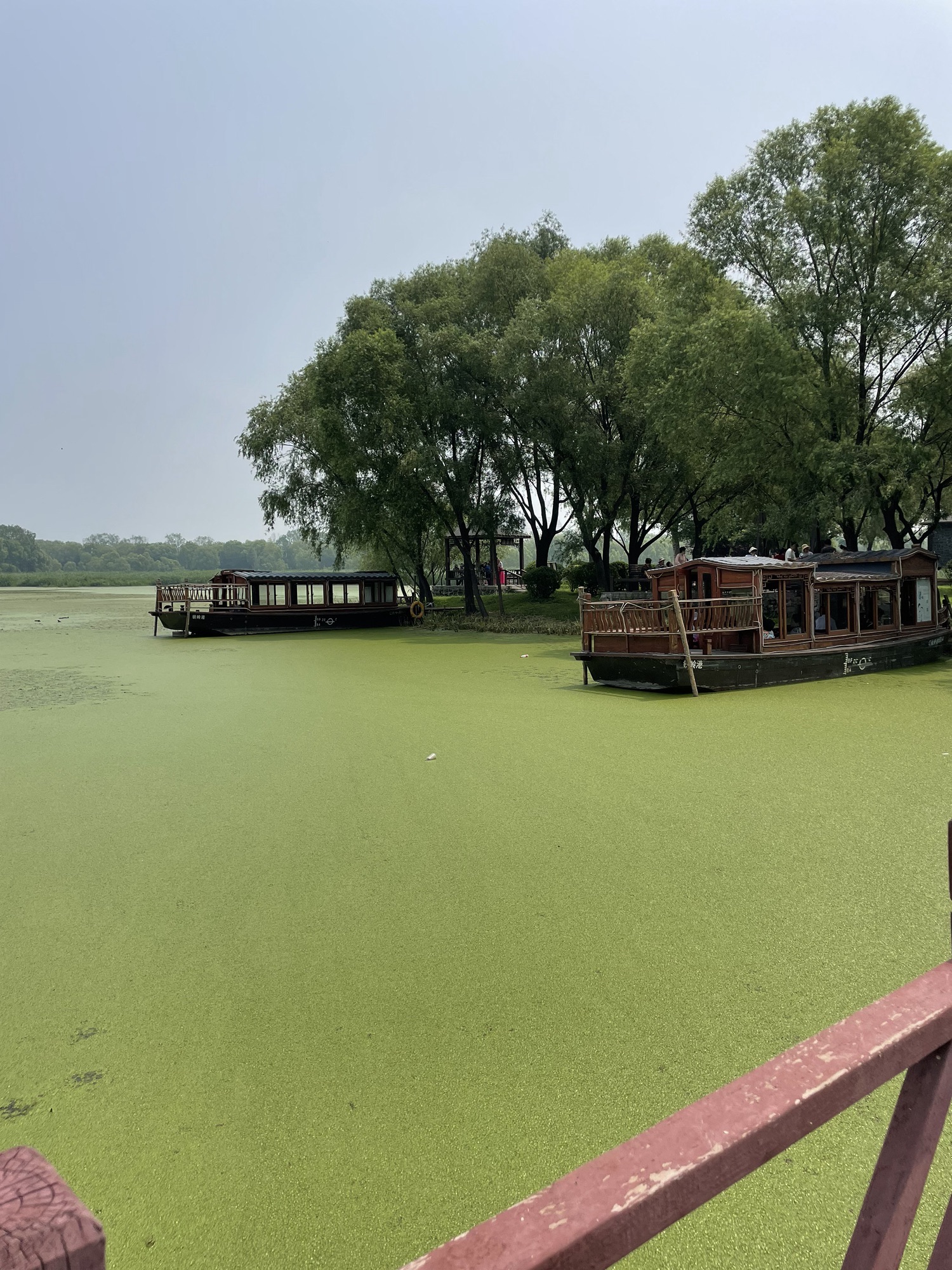 莲花湖湿地公园旅行图片 2