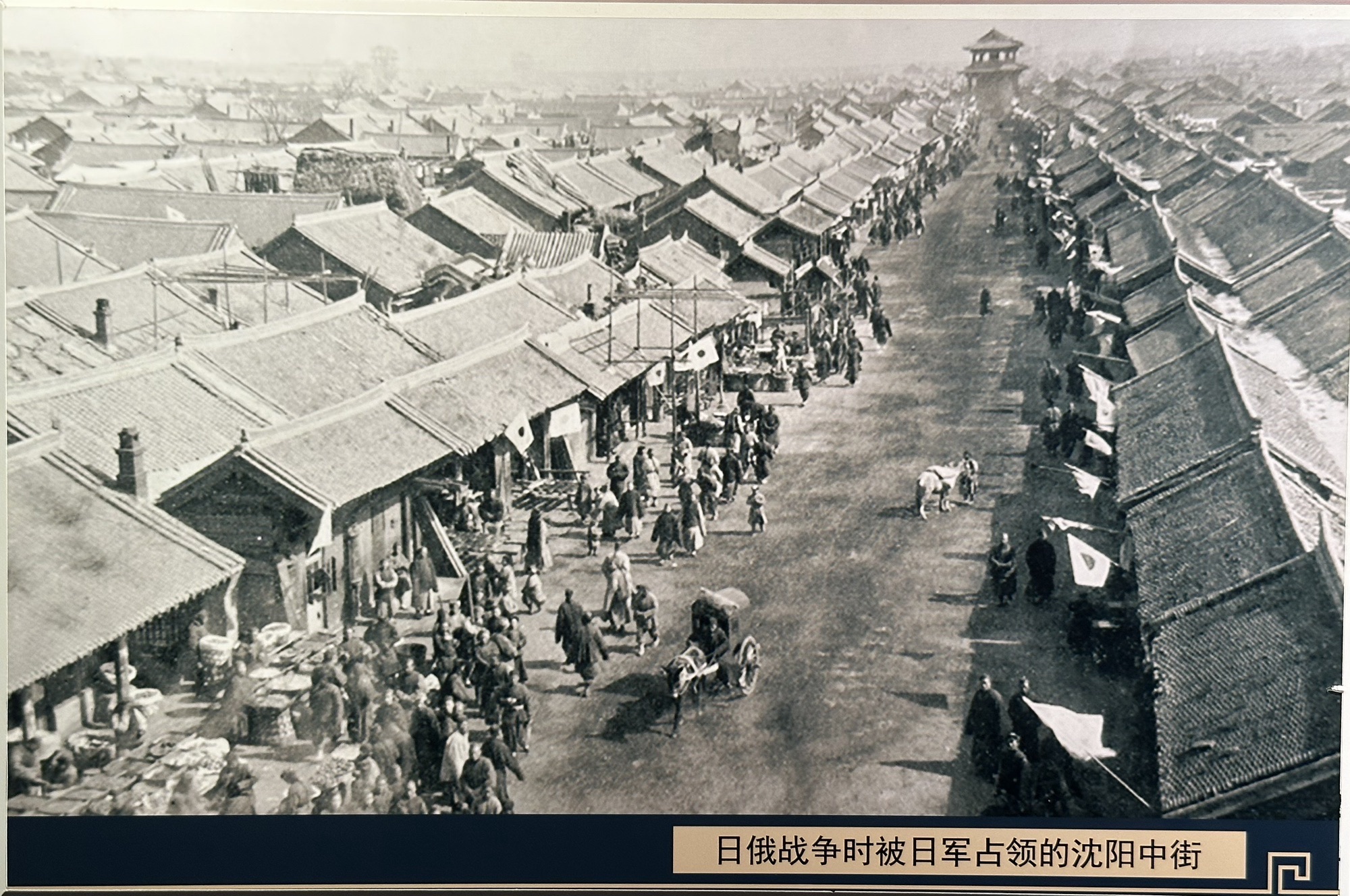 莲花湖湿地公园旅行图片 2