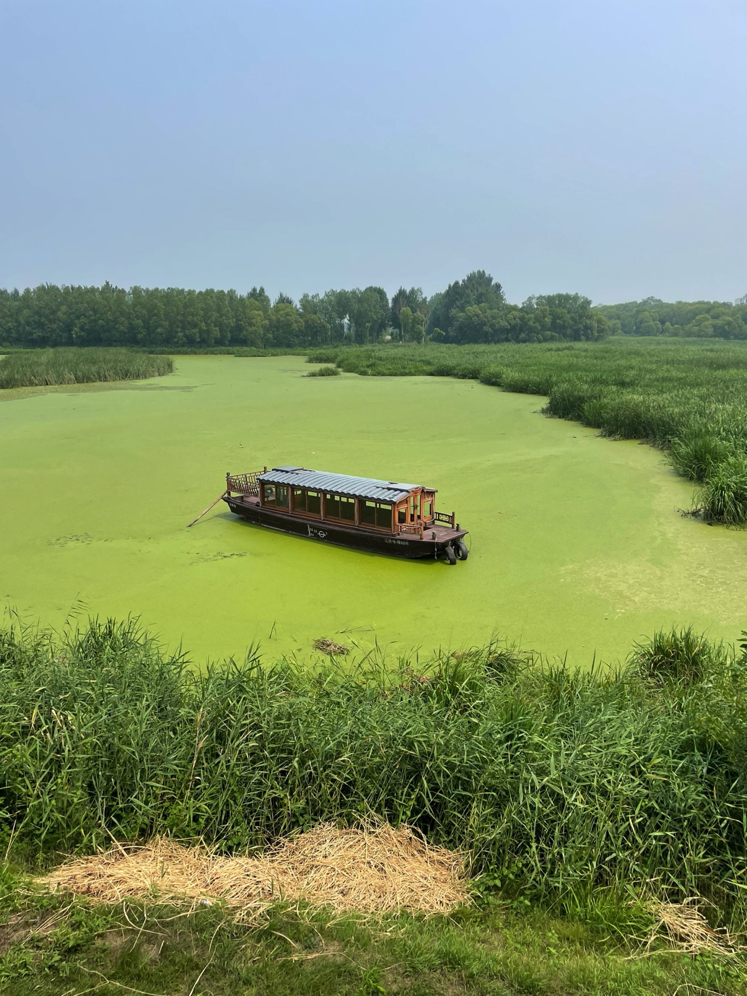 莲花湖湿地公园旅行图片 1