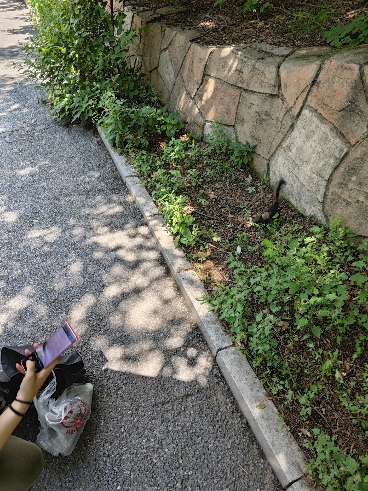 铁岭市龙山风景名胜区旅行图片 1