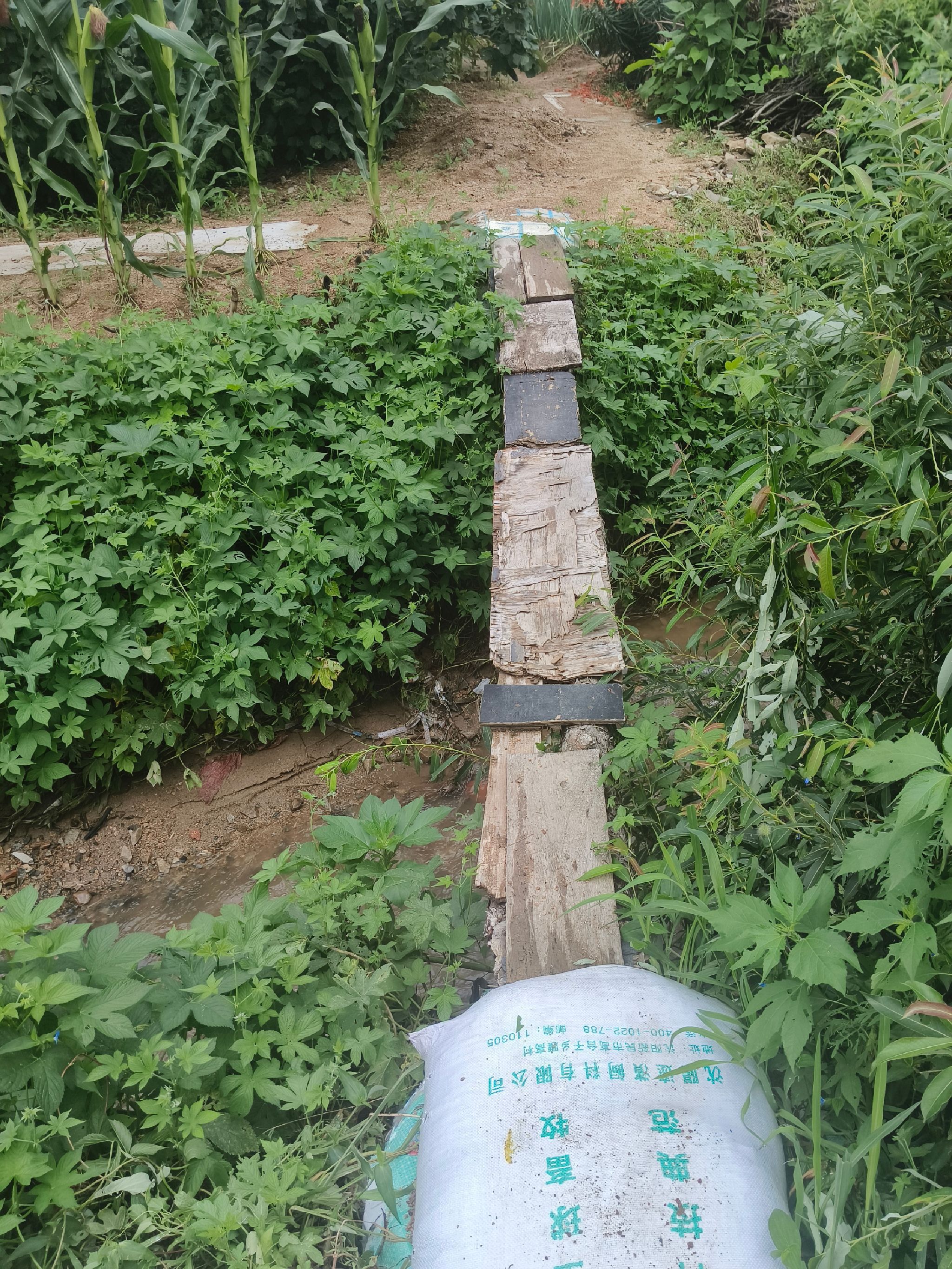 开原植物园旅行图片 3