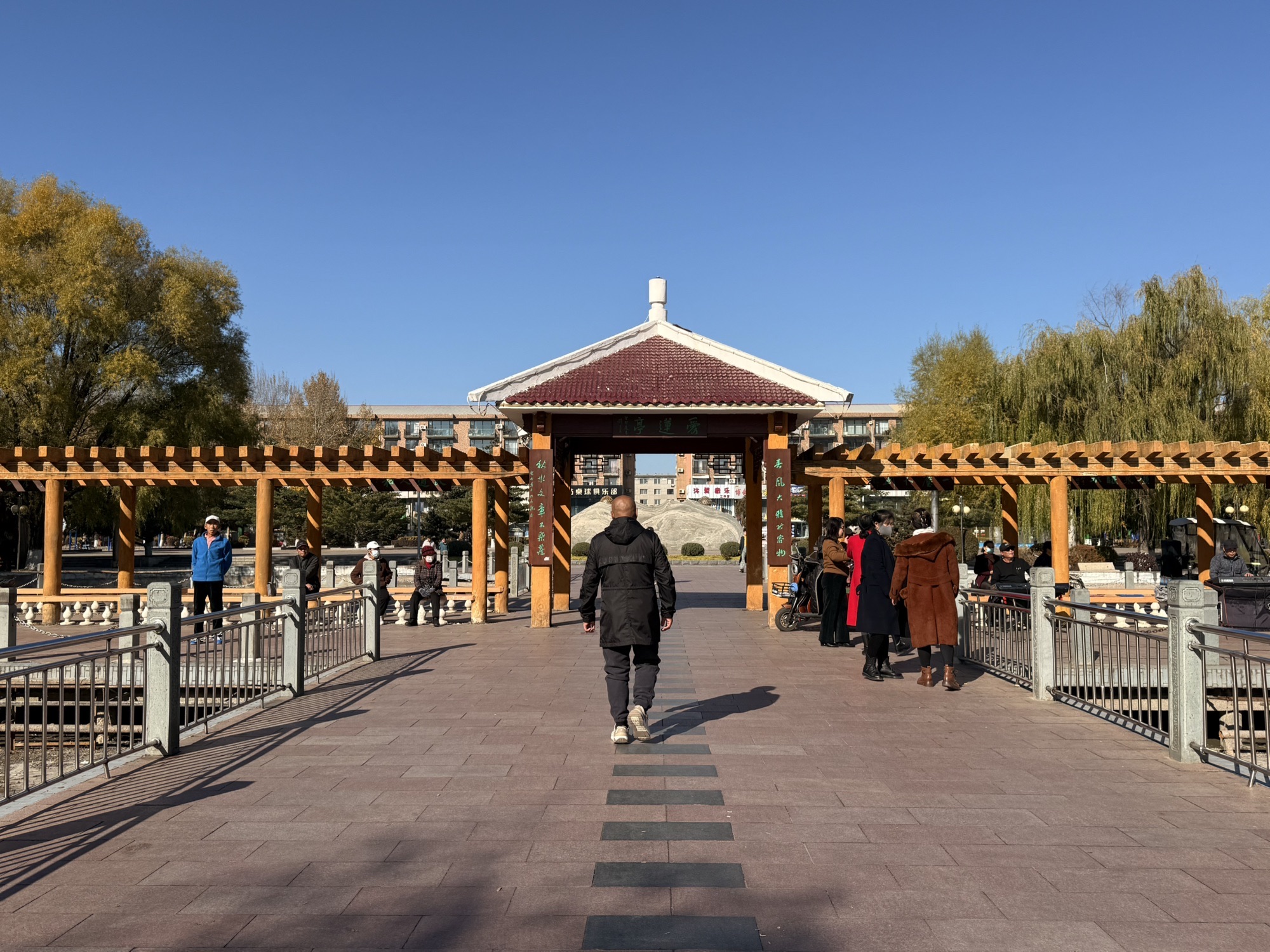开原植物园旅行图片 3