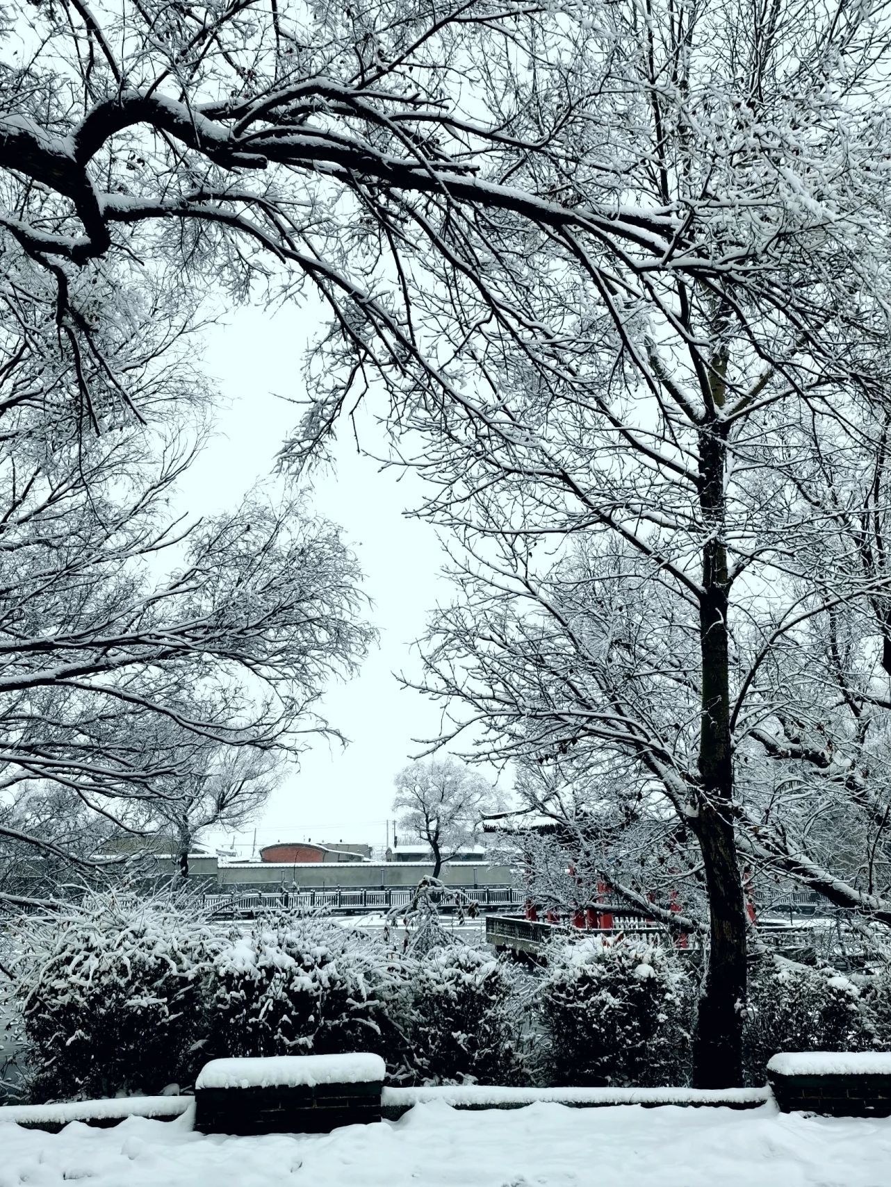 榆城公园旅行图片 3