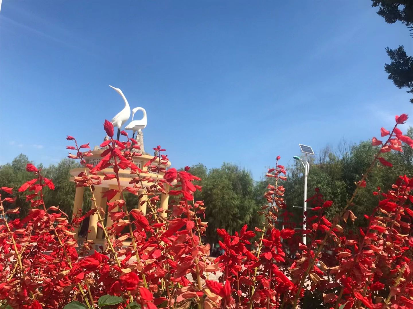 春晓公园旅行图片 1