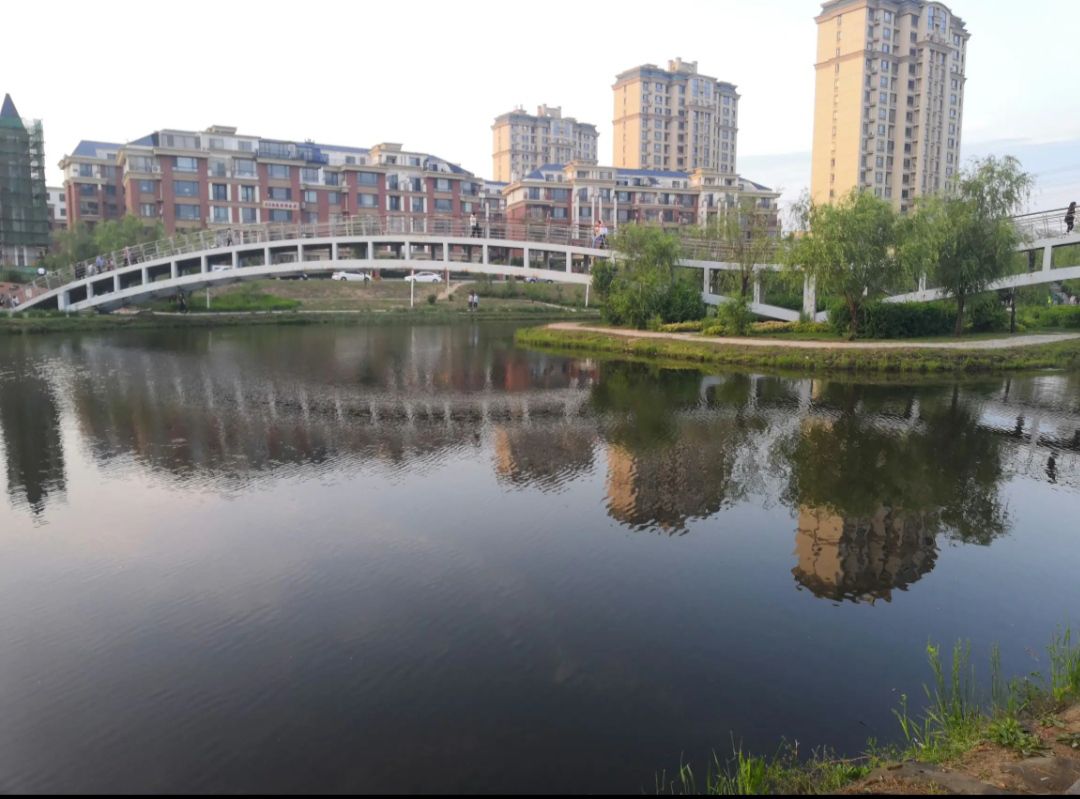 新湖公园旅行图片 1