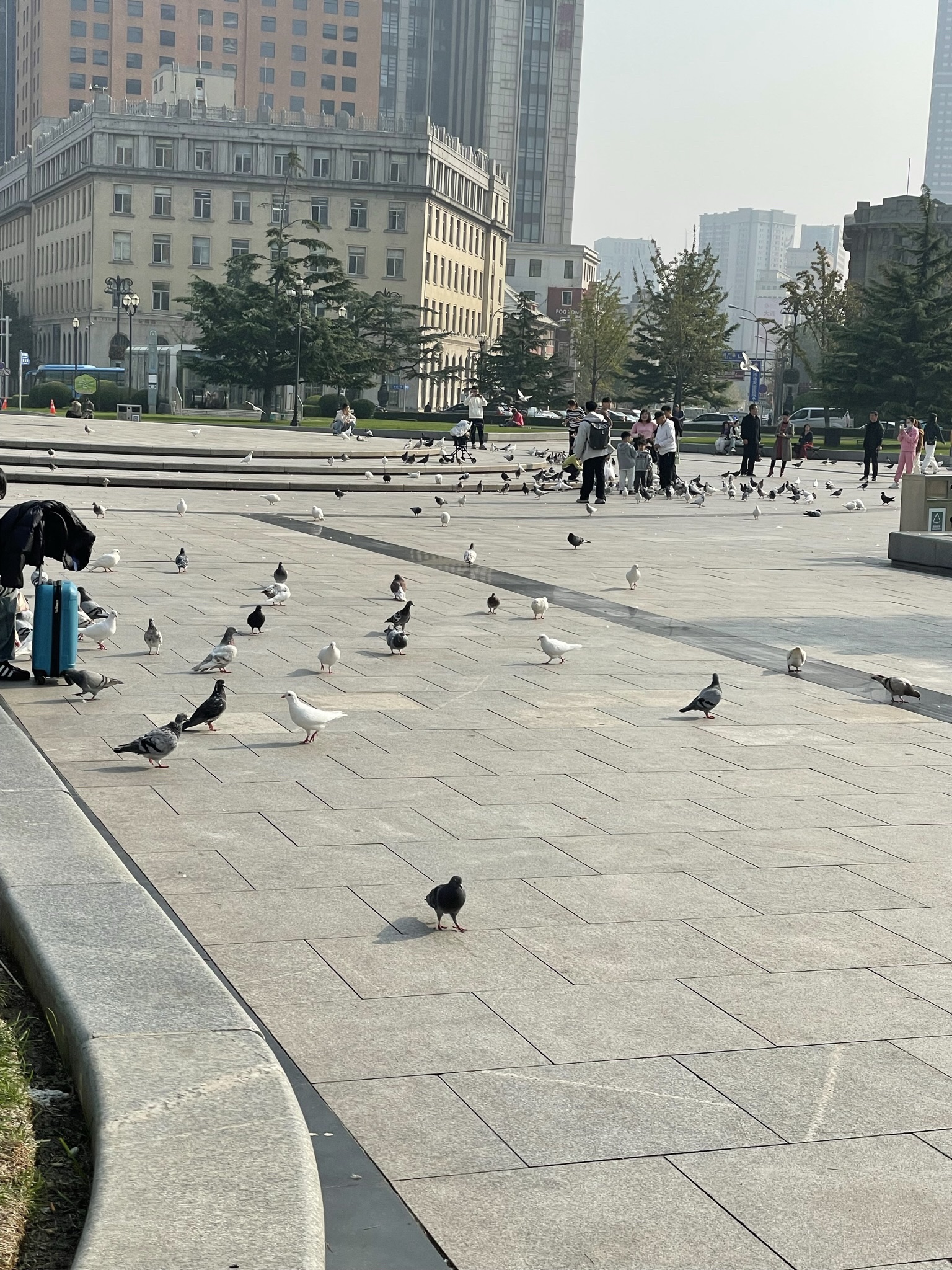 中山广场旅行图片 2