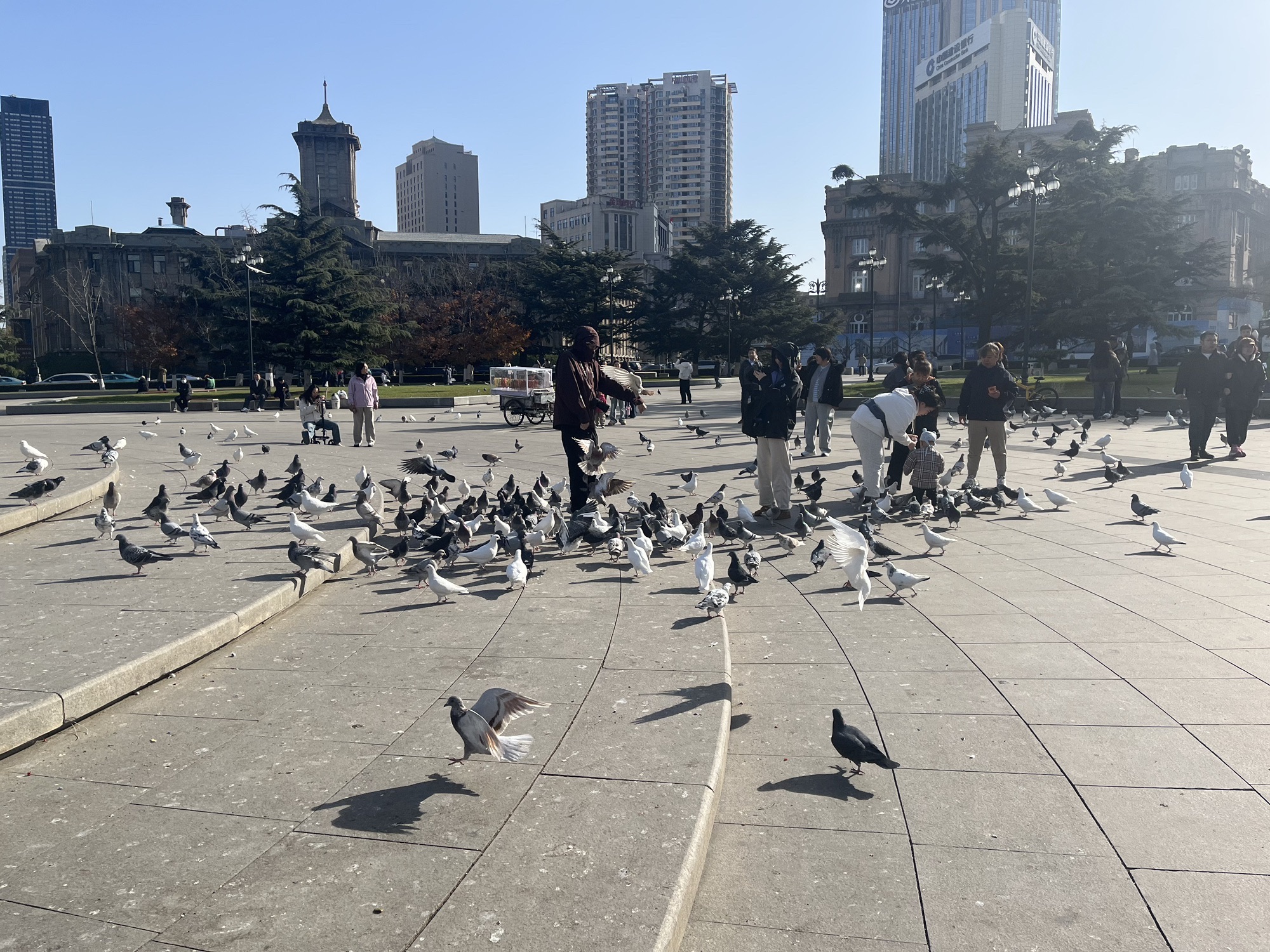 中山广场旅行图片 1