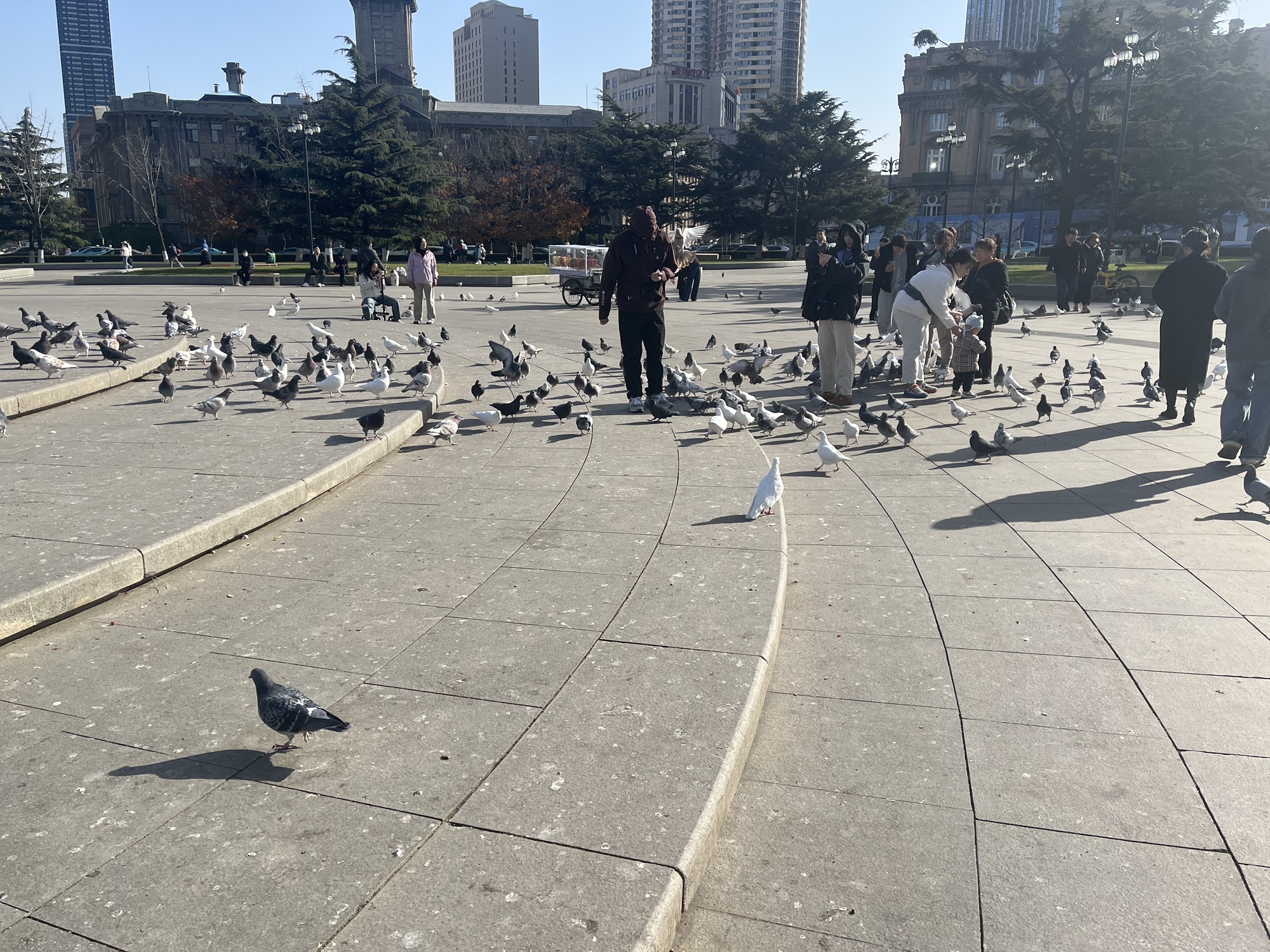 中山广场旅行图片 2