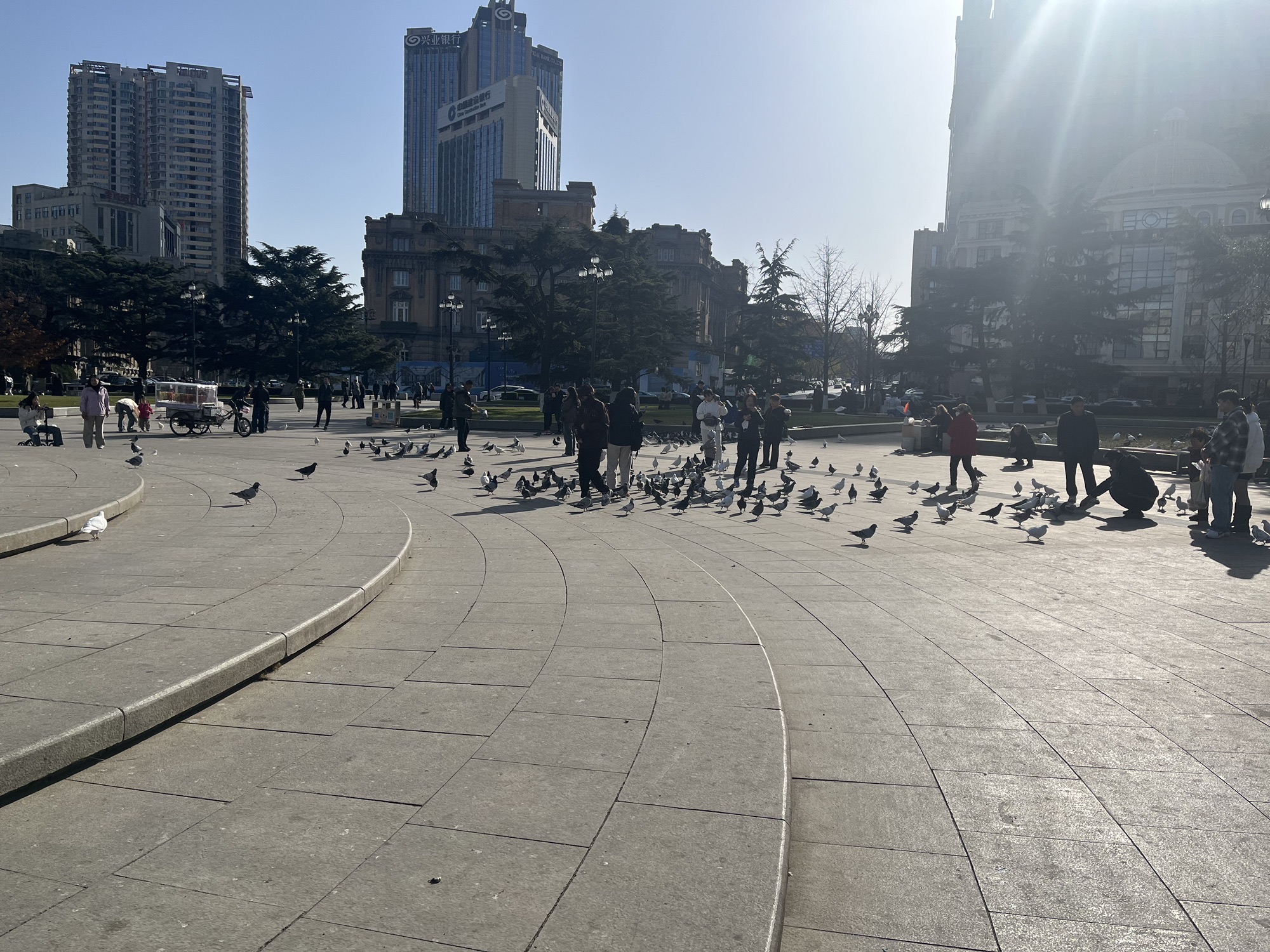 中山广场旅行图片 3