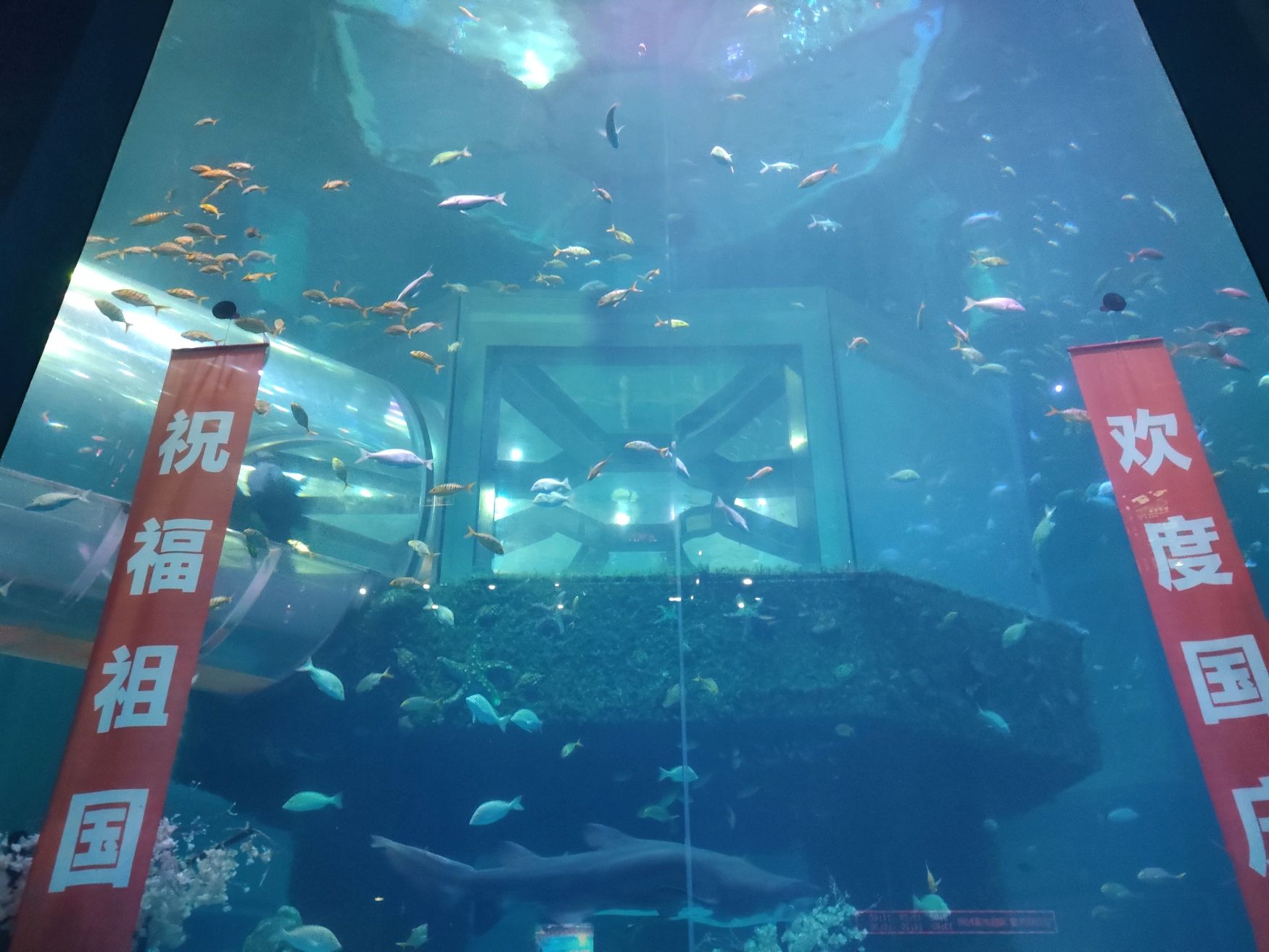 大连老虎滩海洋公园旅行图片 1