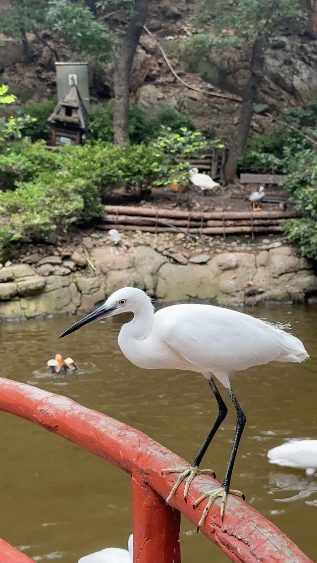 大连老虎滩海洋公园旅行图片 3