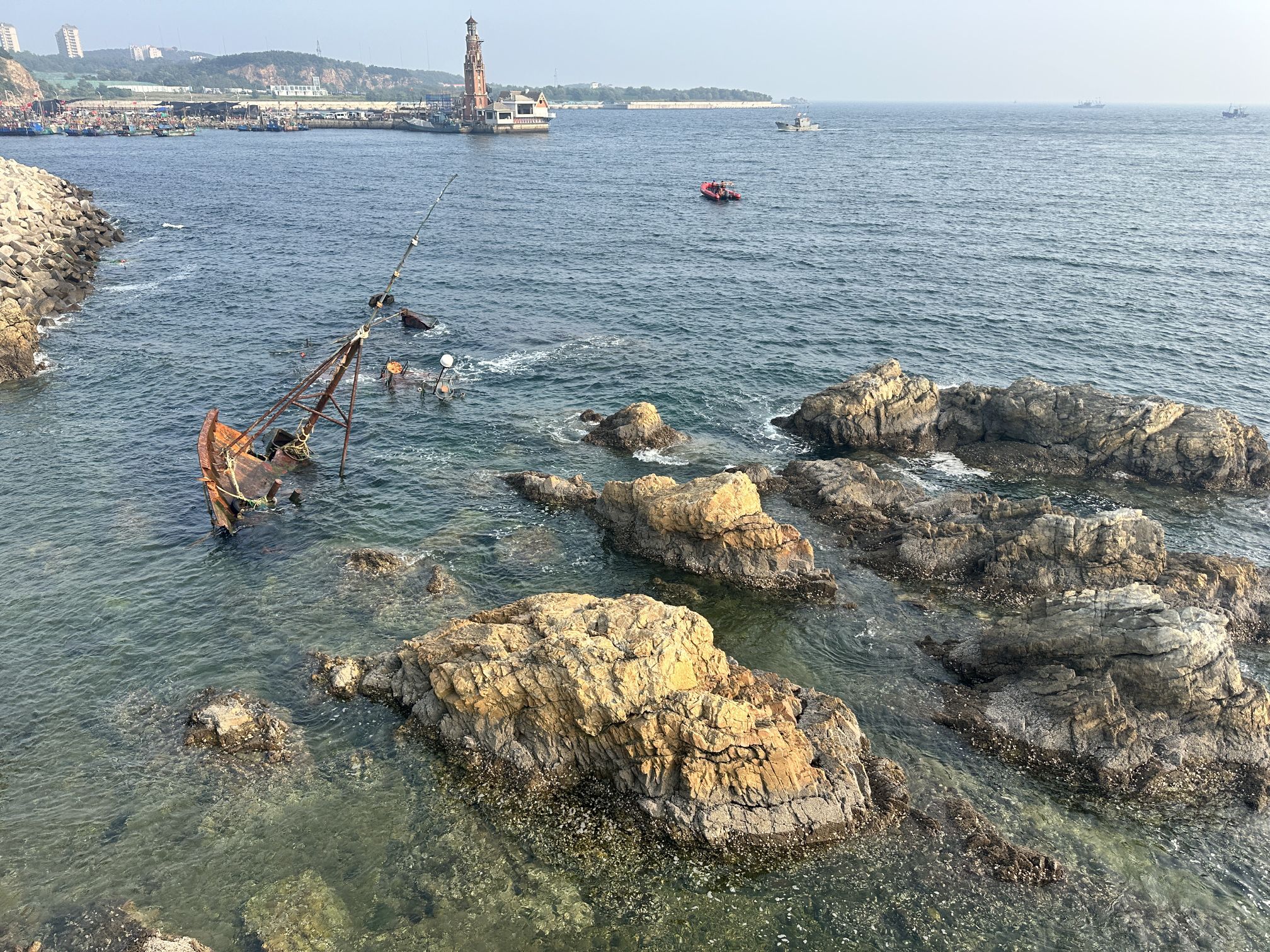 大连老虎滩海洋公园旅行图片 1