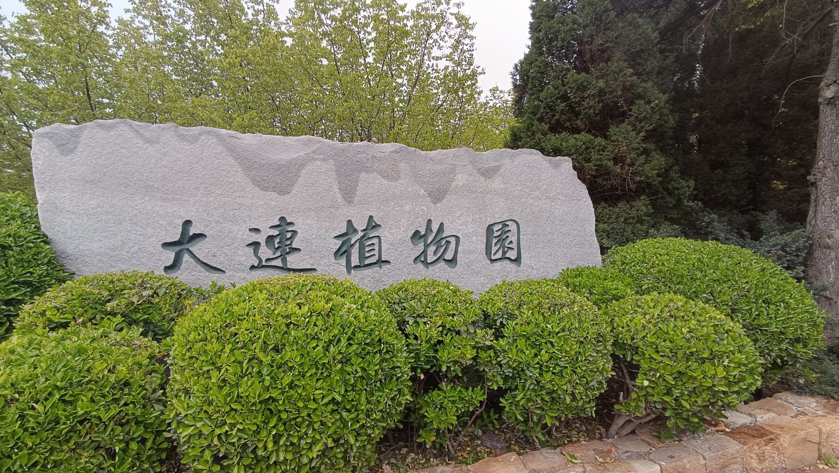 大连植物园旅行图片 1