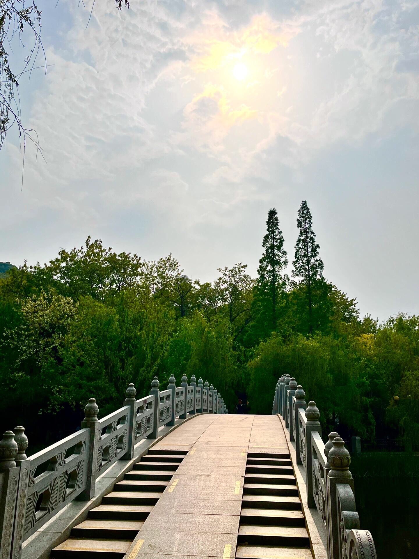 大连植物园旅行图片 1