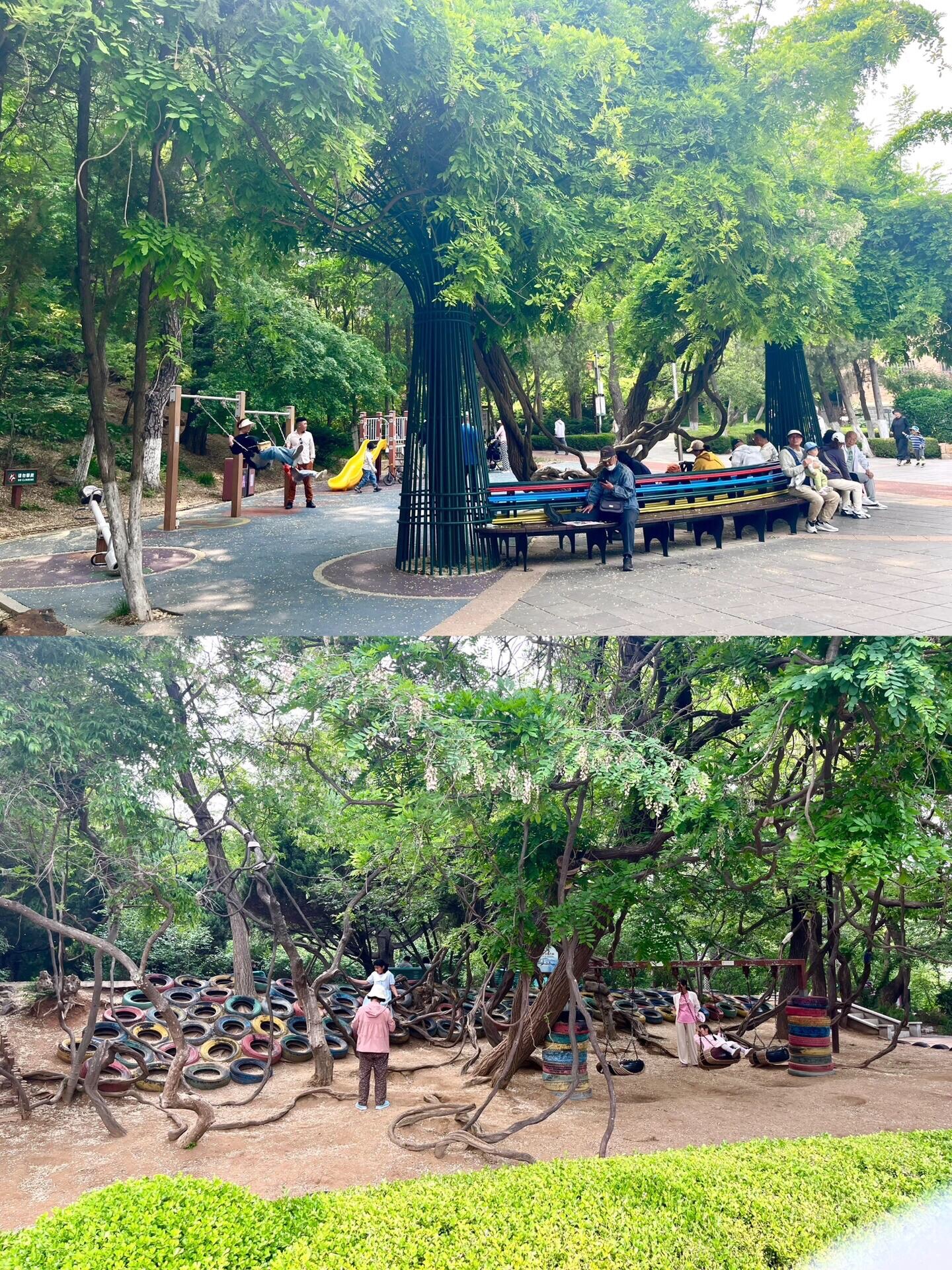 大连植物园旅行图片 3