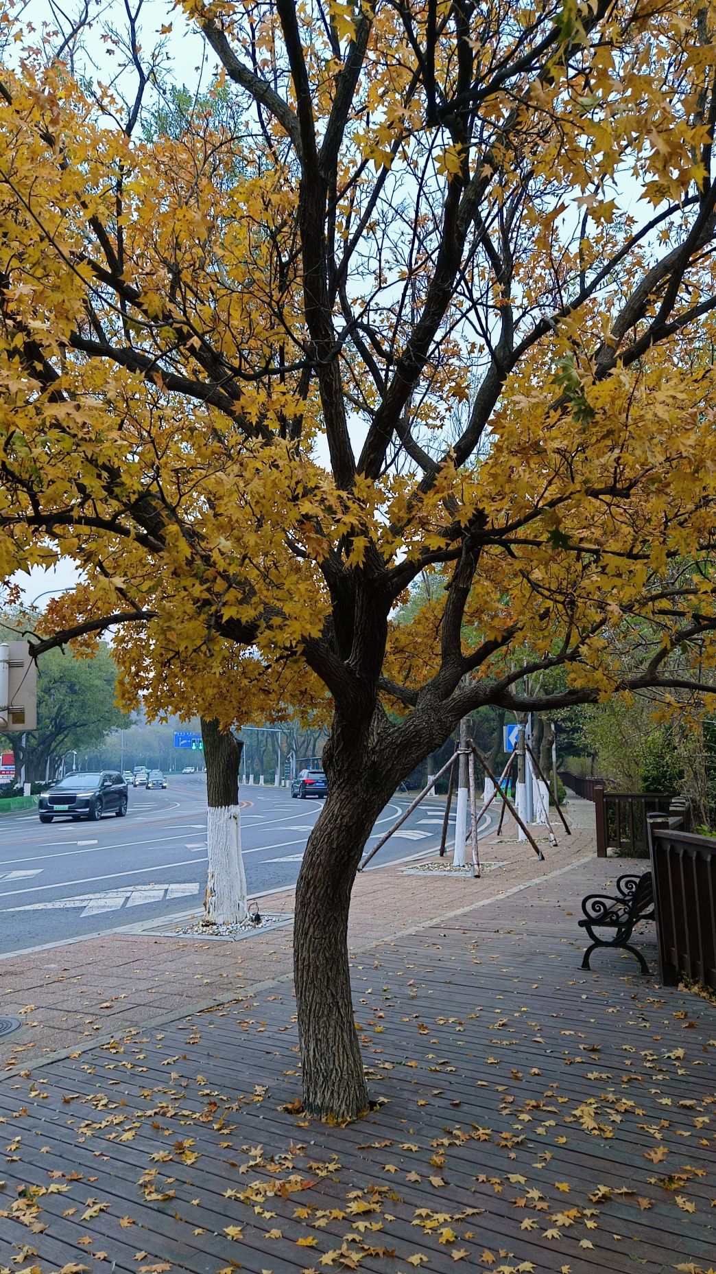 大连植物园旅行图片 2