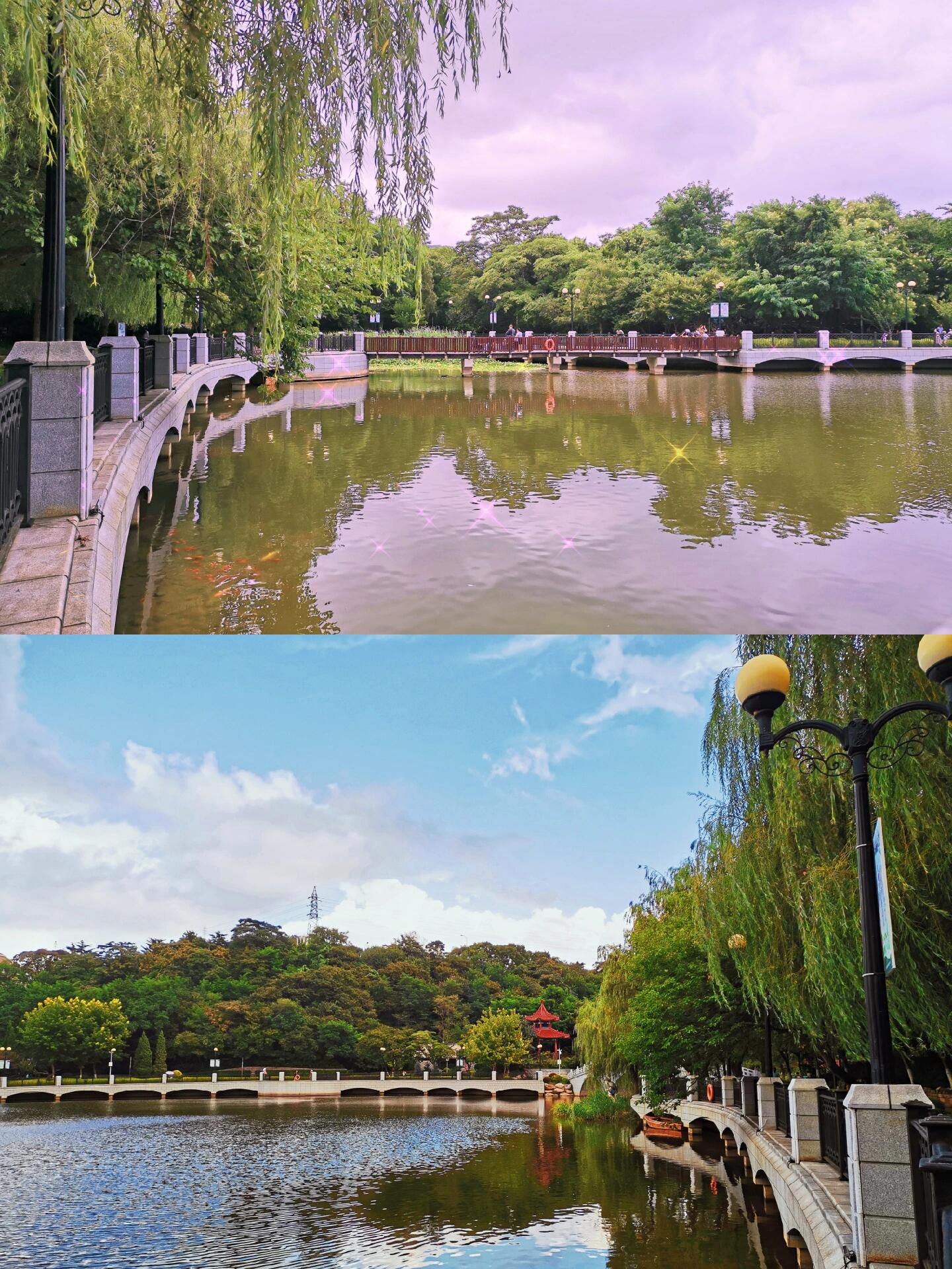 大连植物园旅行图片 2