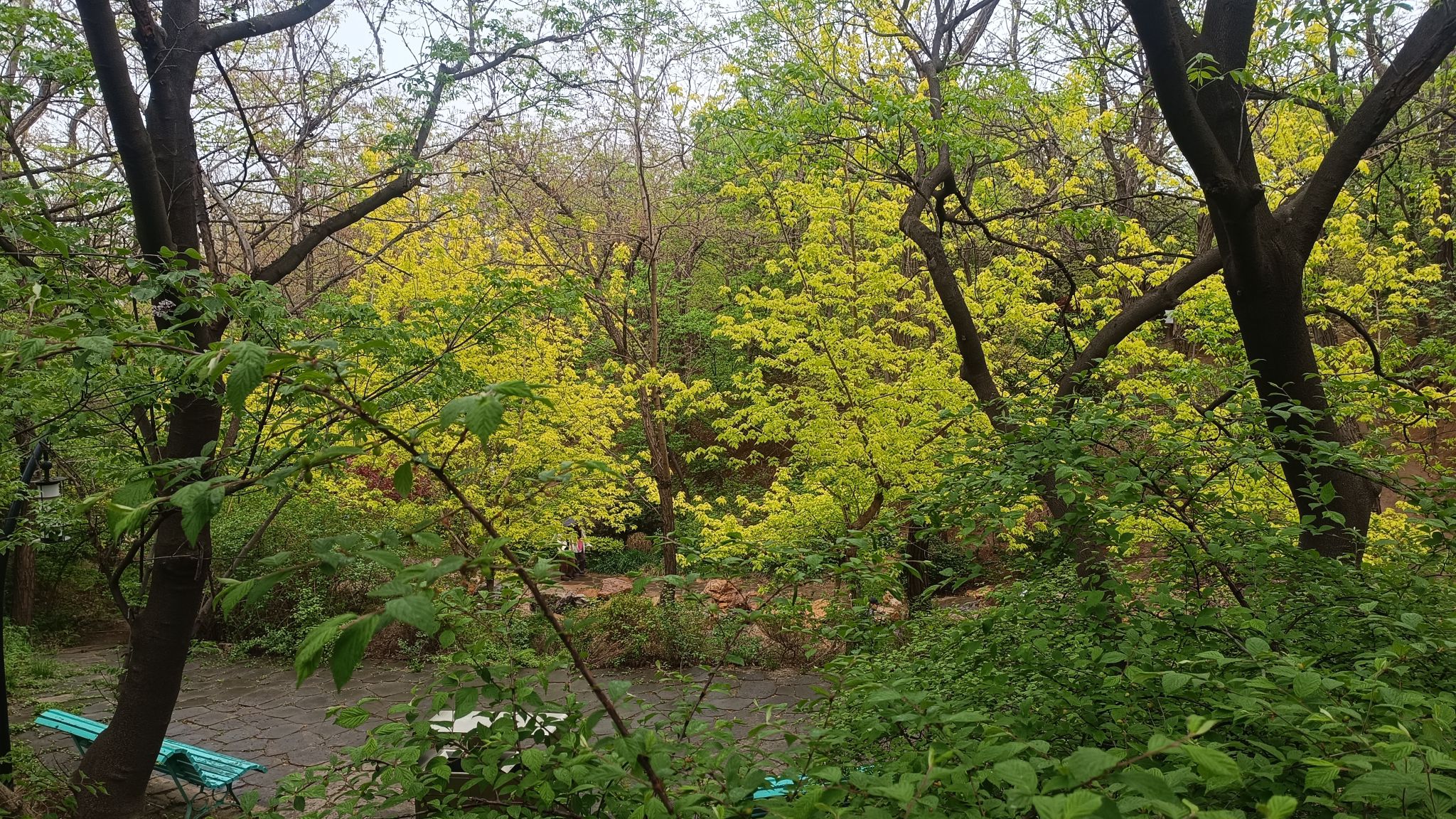 大连植物园旅行图片 2