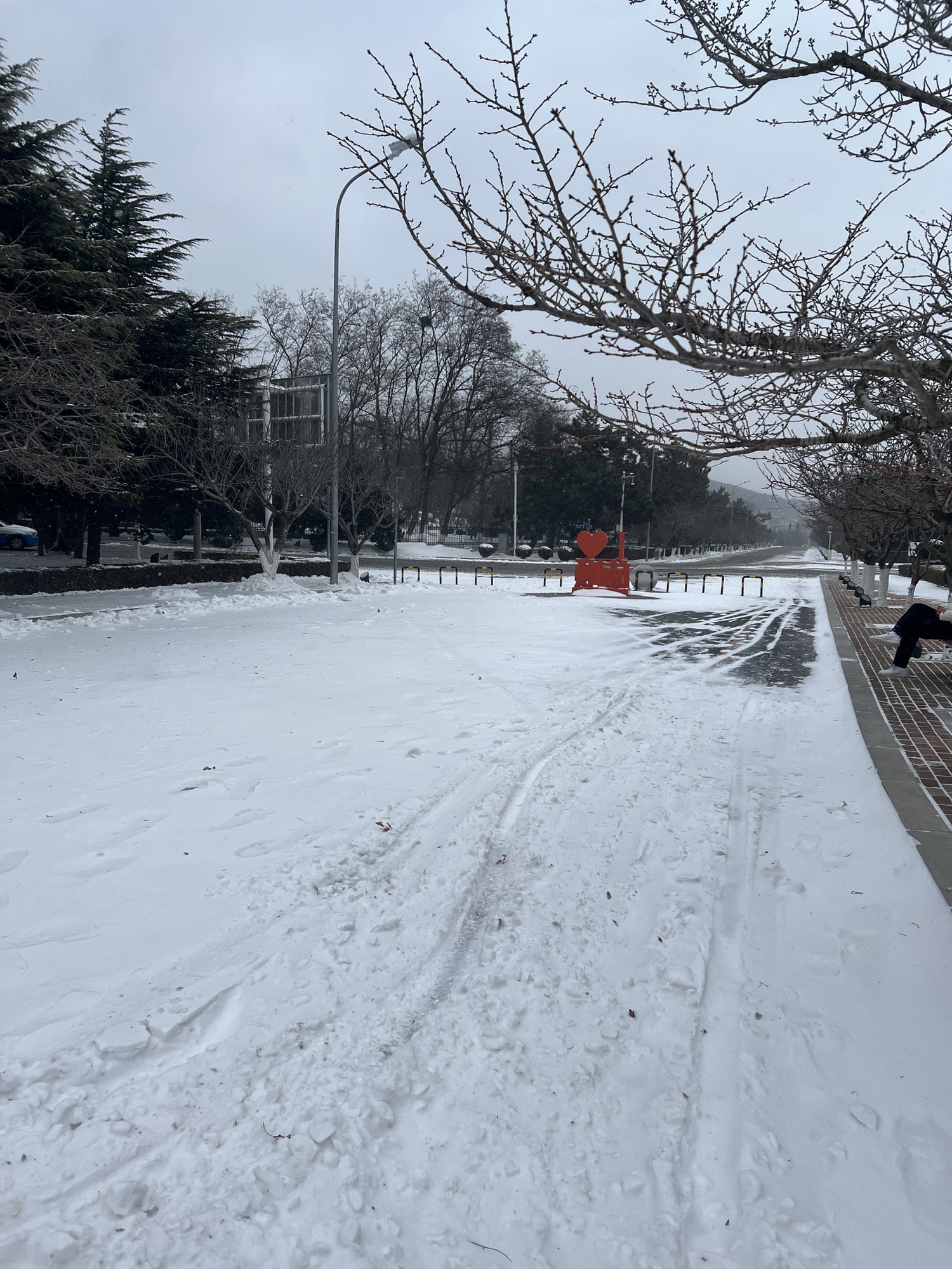 胜利塔旅行图片 3
