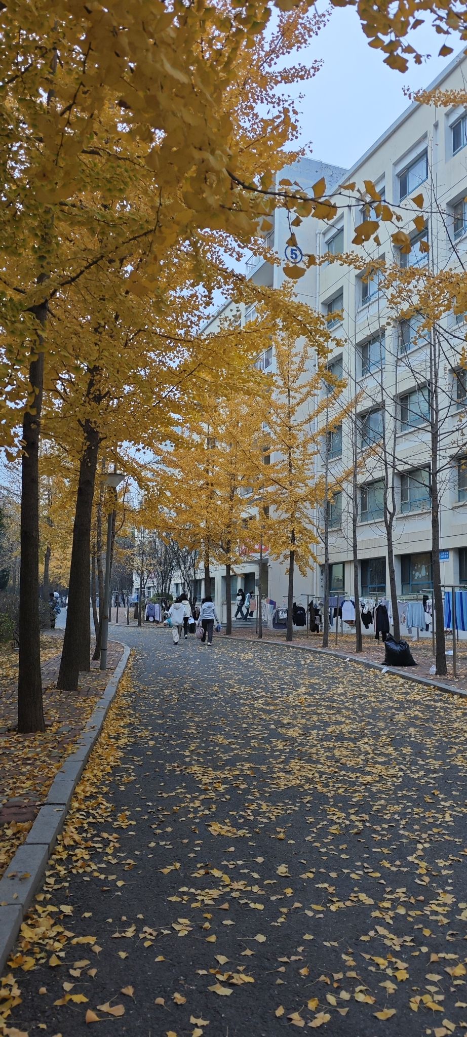 大连医科大学中山学院