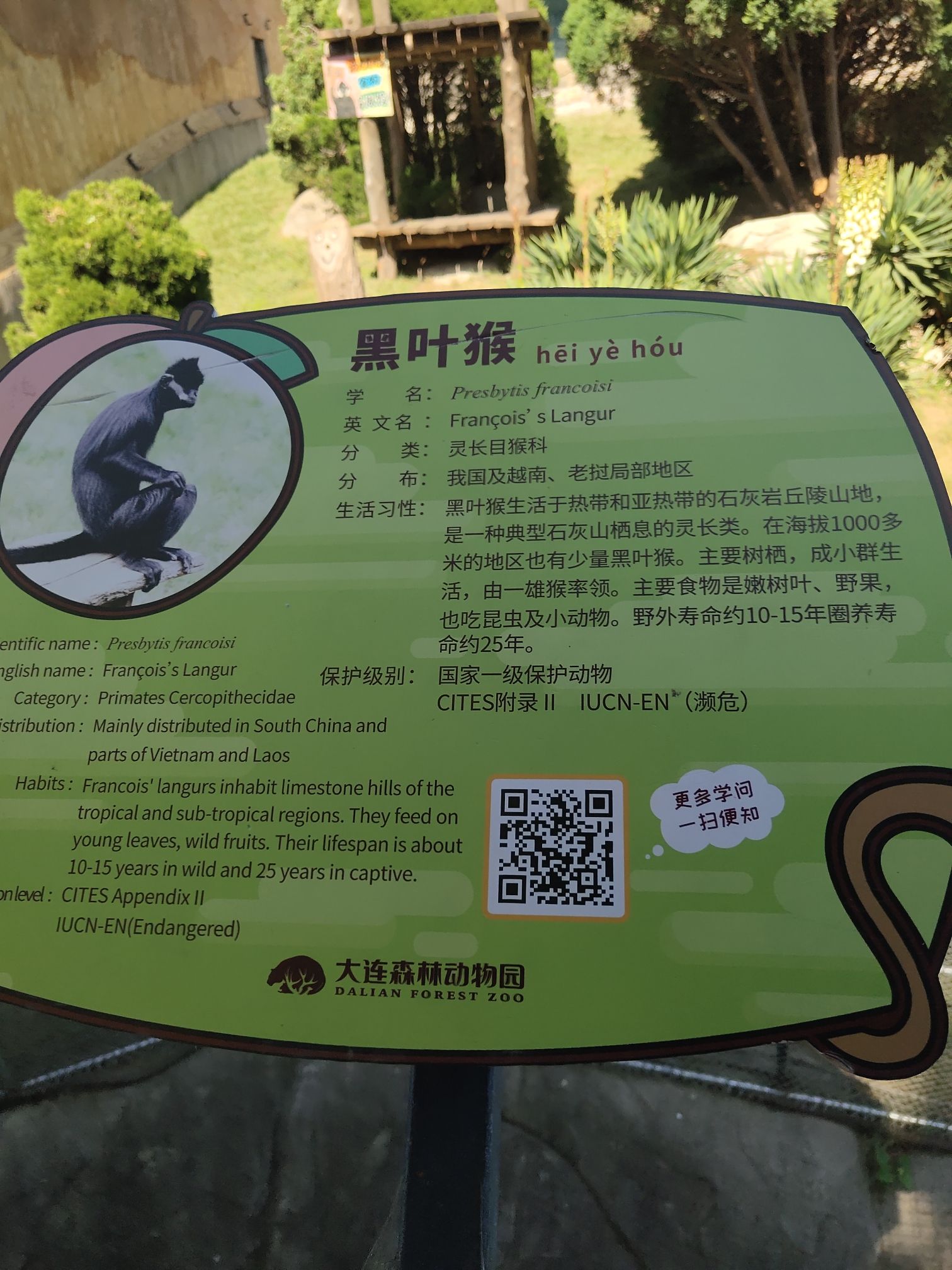大连森林动物园旅行图片 2