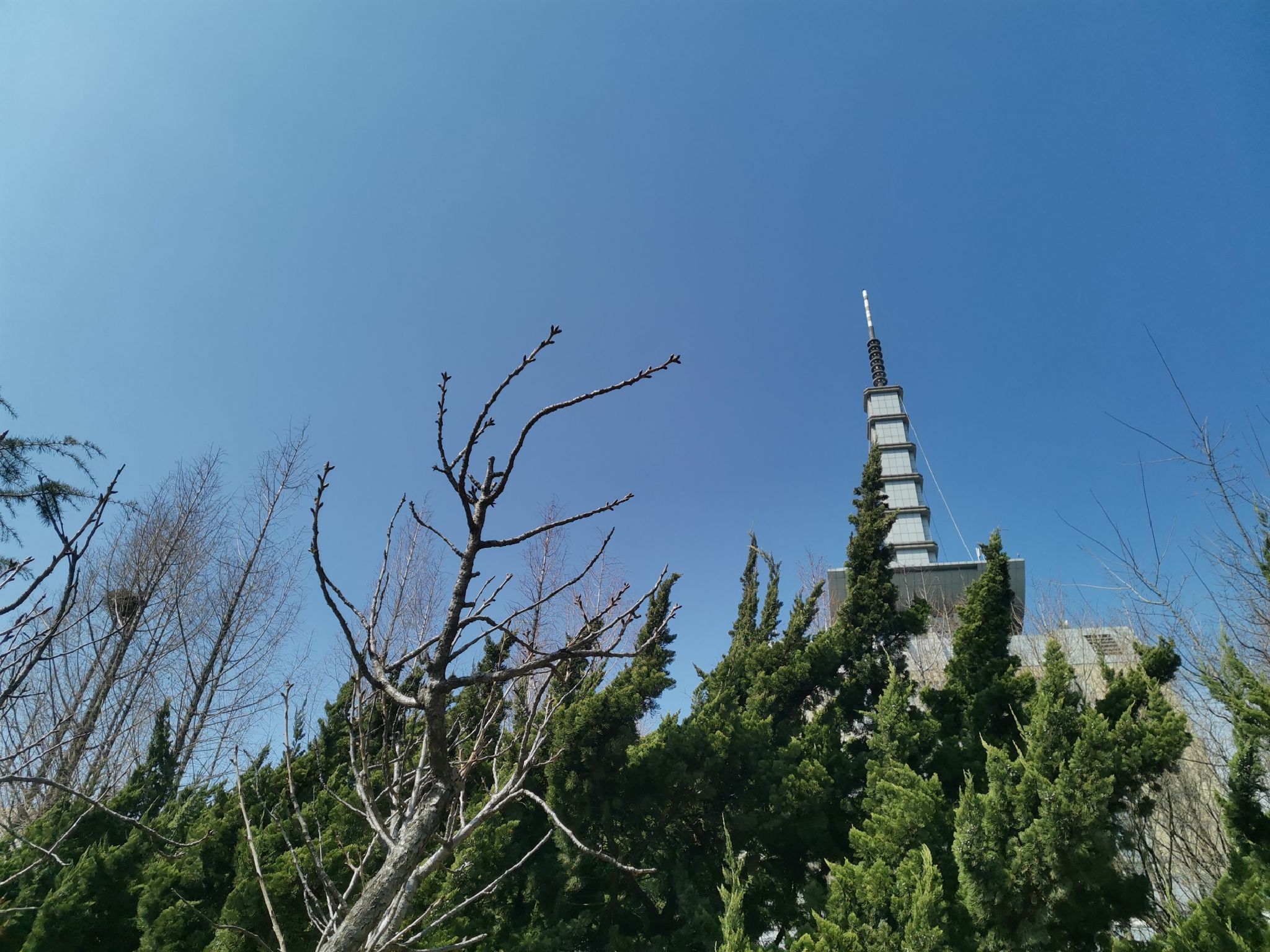 中山公园旅行图片 1