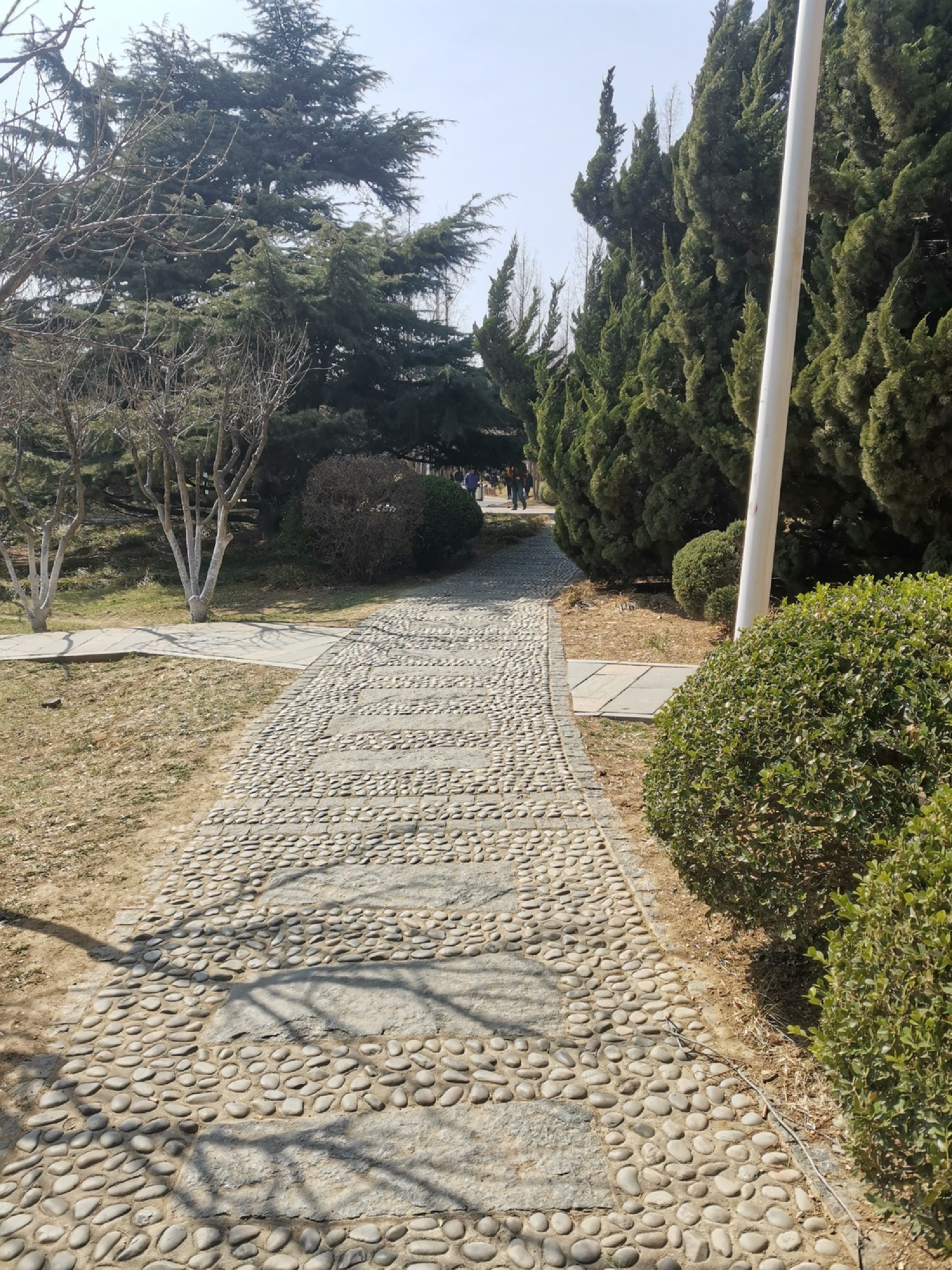 中山公园旅行图片 2