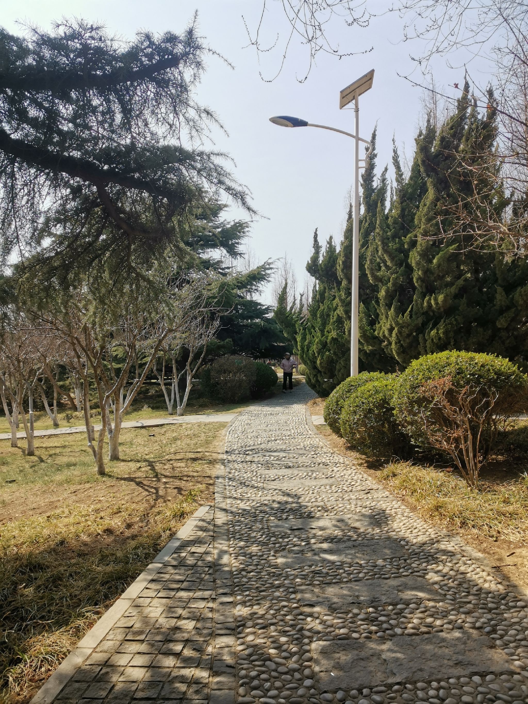 中山公园旅行图片 3