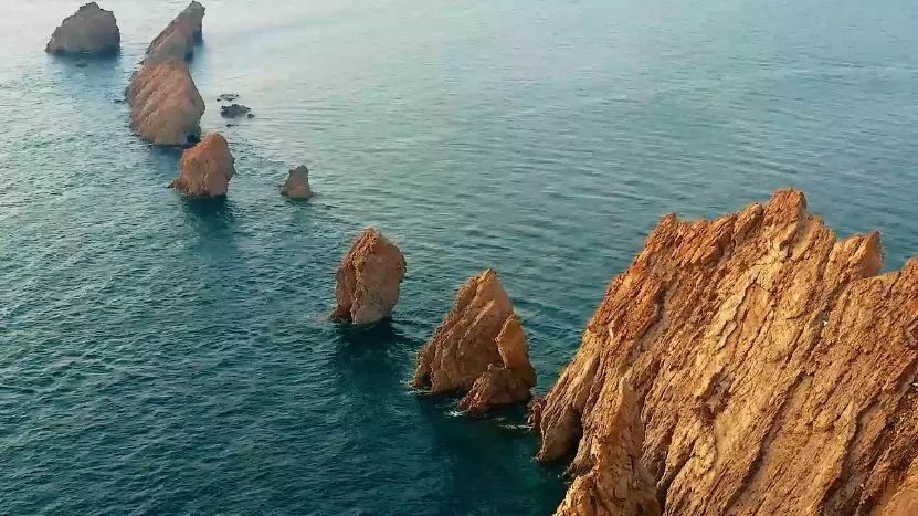 大连骆驼山海滨森林公园旅行图片 1