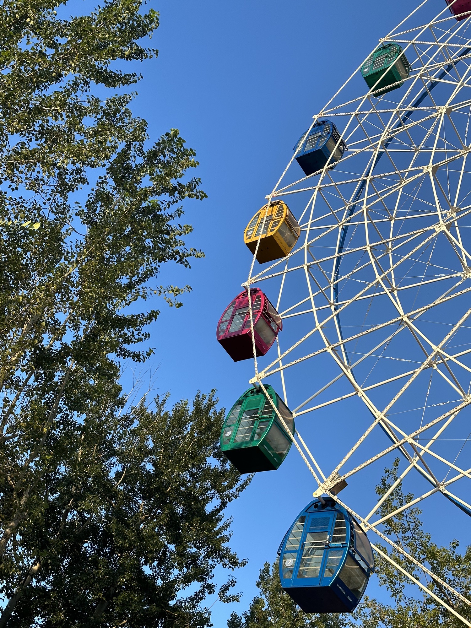 东山公园旅行图片 1