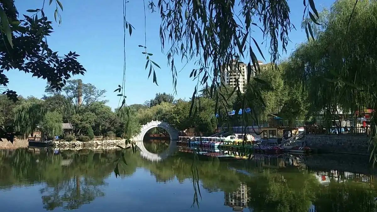 东山公园旅行图片 3