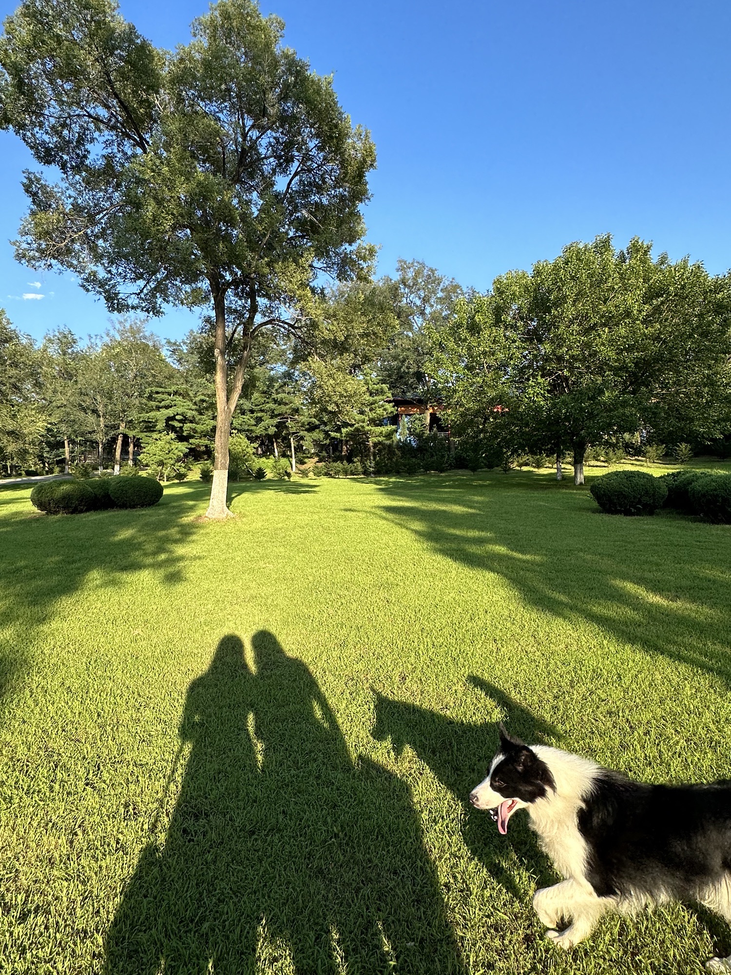 东山公园旅行图片 3
