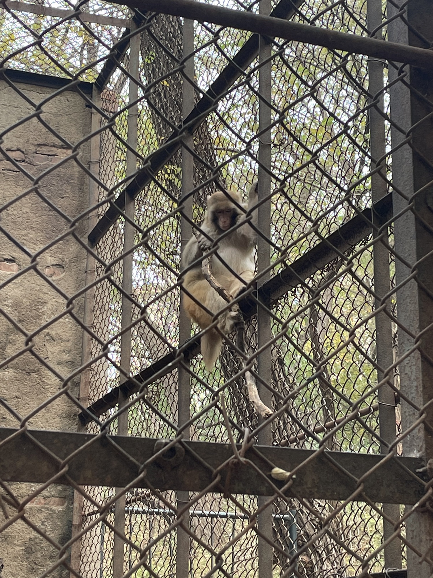 东山公园旅行图片 3