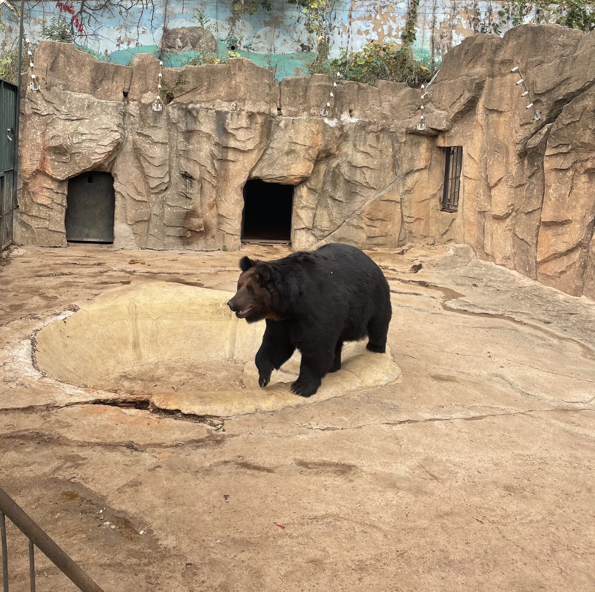 东山公园旅行图片 2