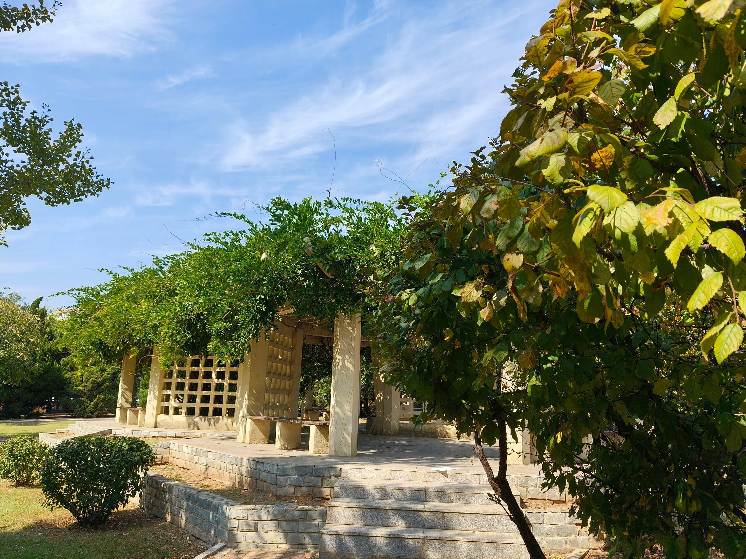 东山公园旅行图片 2