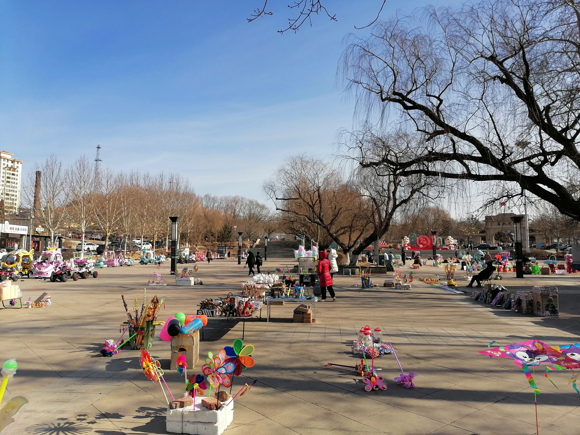 东山公园旅行图片 1
