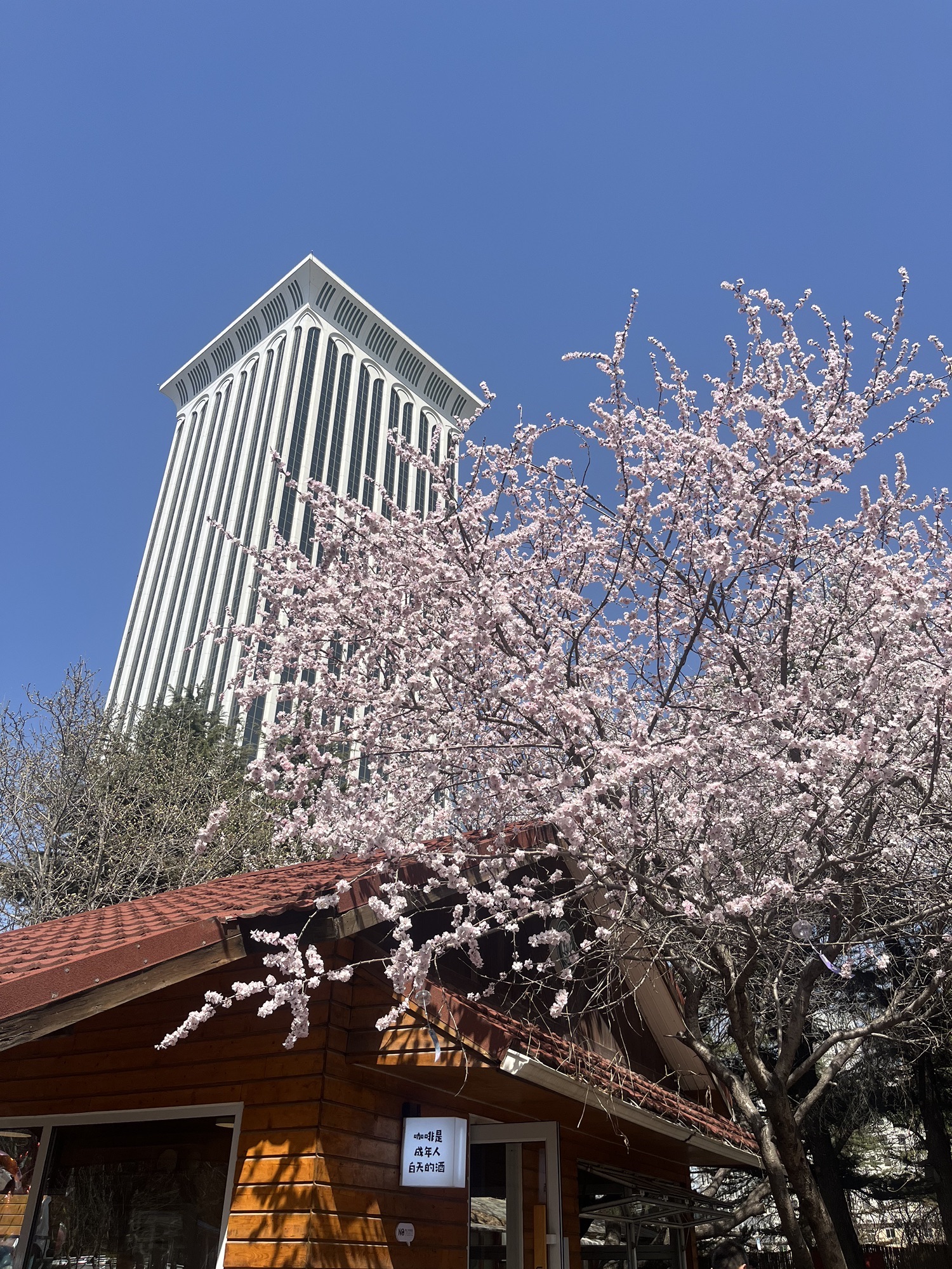 劳动公园旅行图片 1