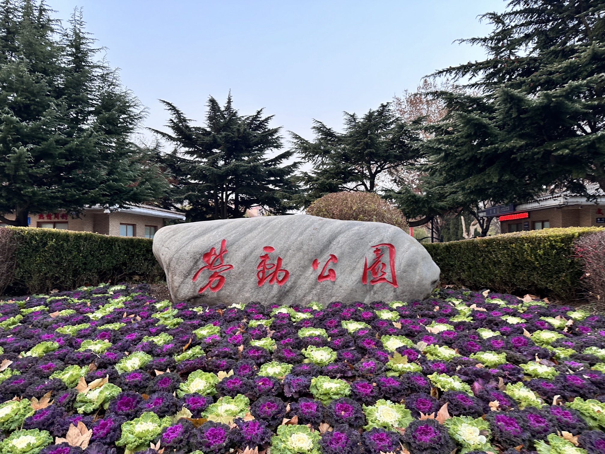 劳动公园旅行图片 1