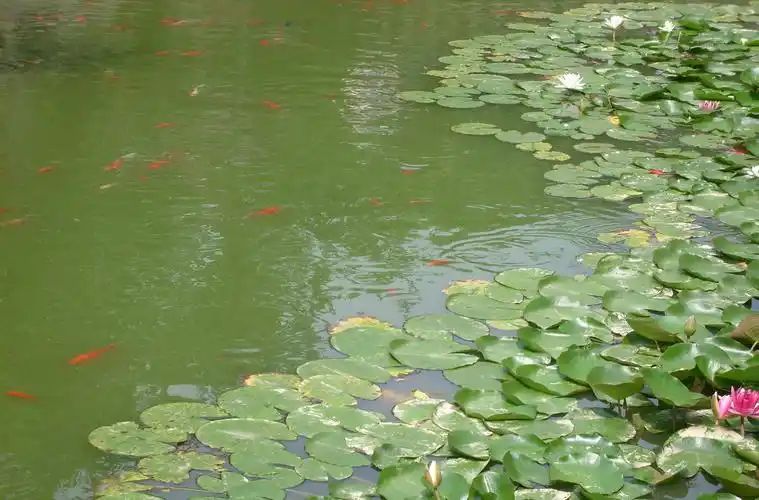 劳动公园旅行图片 2