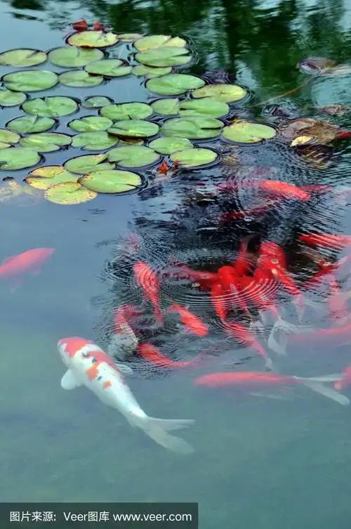 劳动公园旅行图片 1