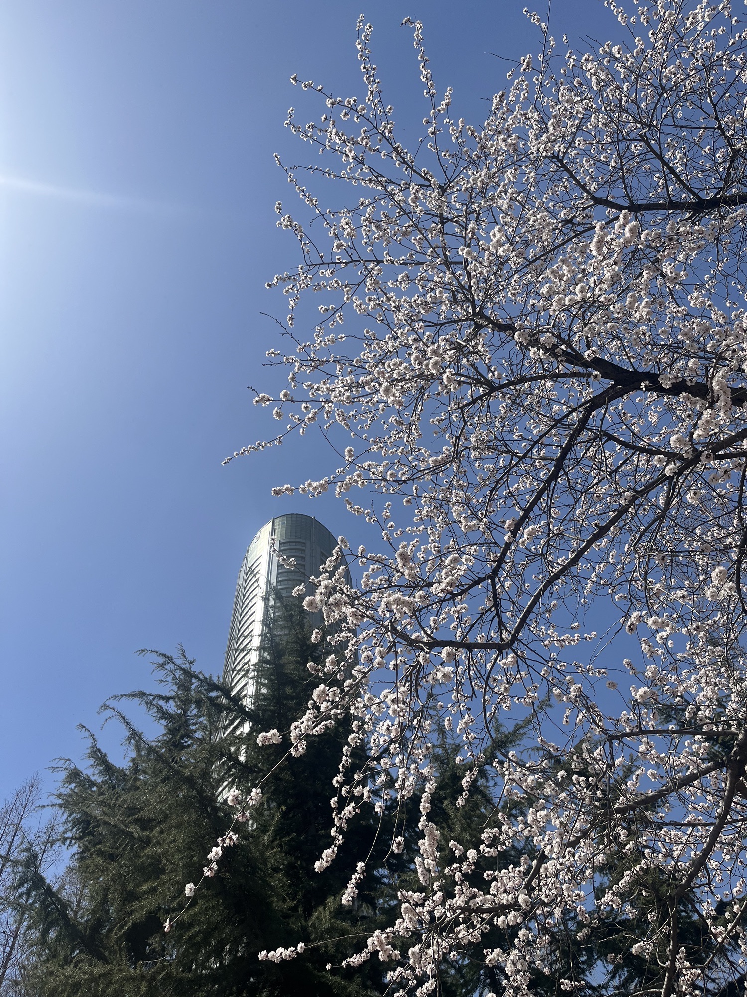 劳动公园旅行图片 3