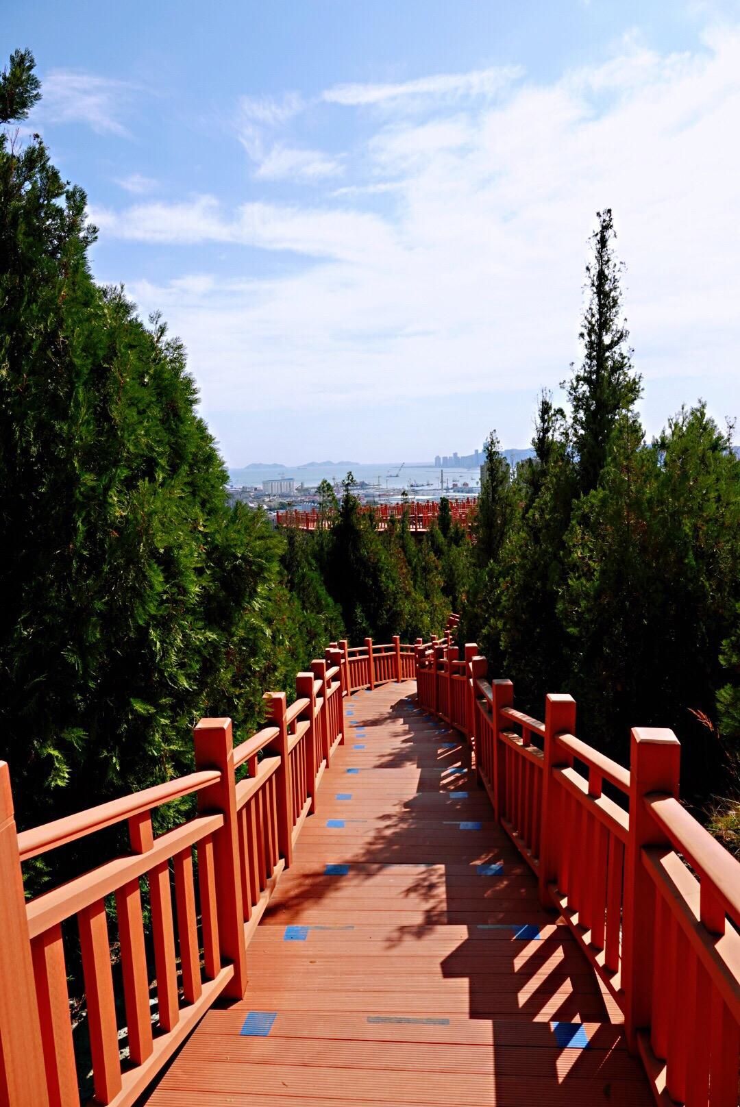 甘井子公园旅行图片 2