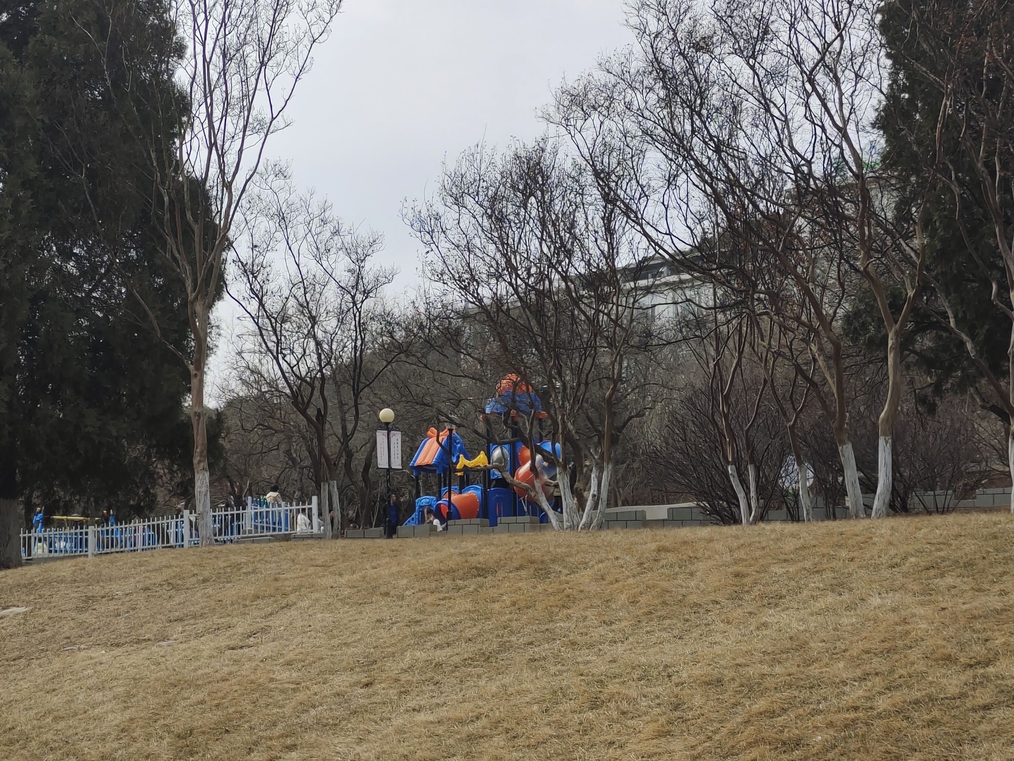 甘井子公园旅行图片 3