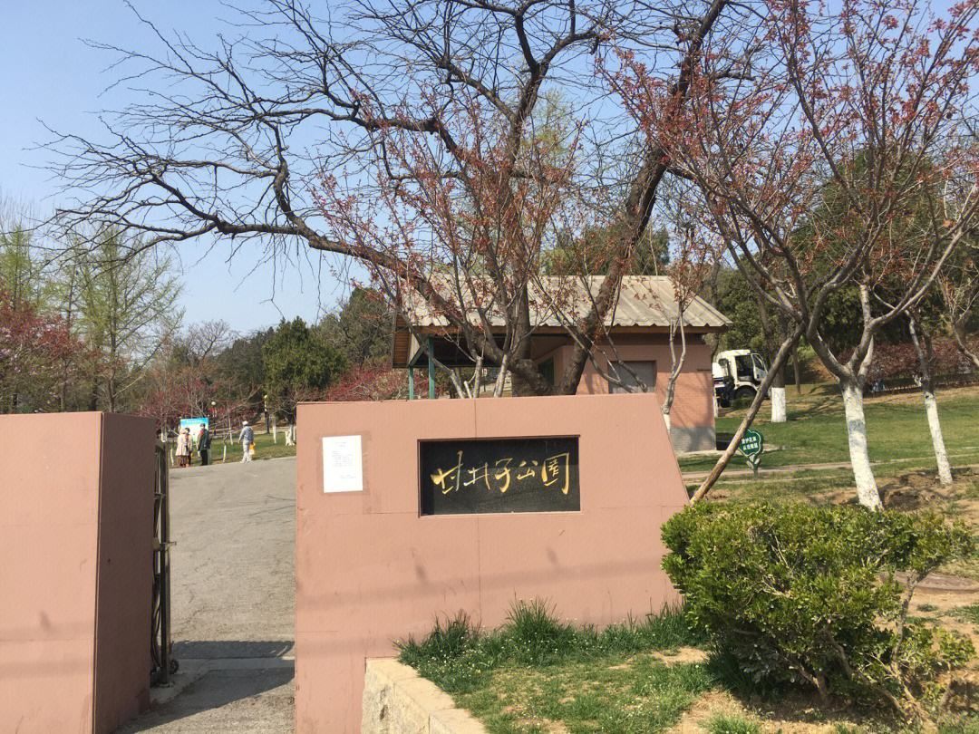甘井子公园旅行图片 3