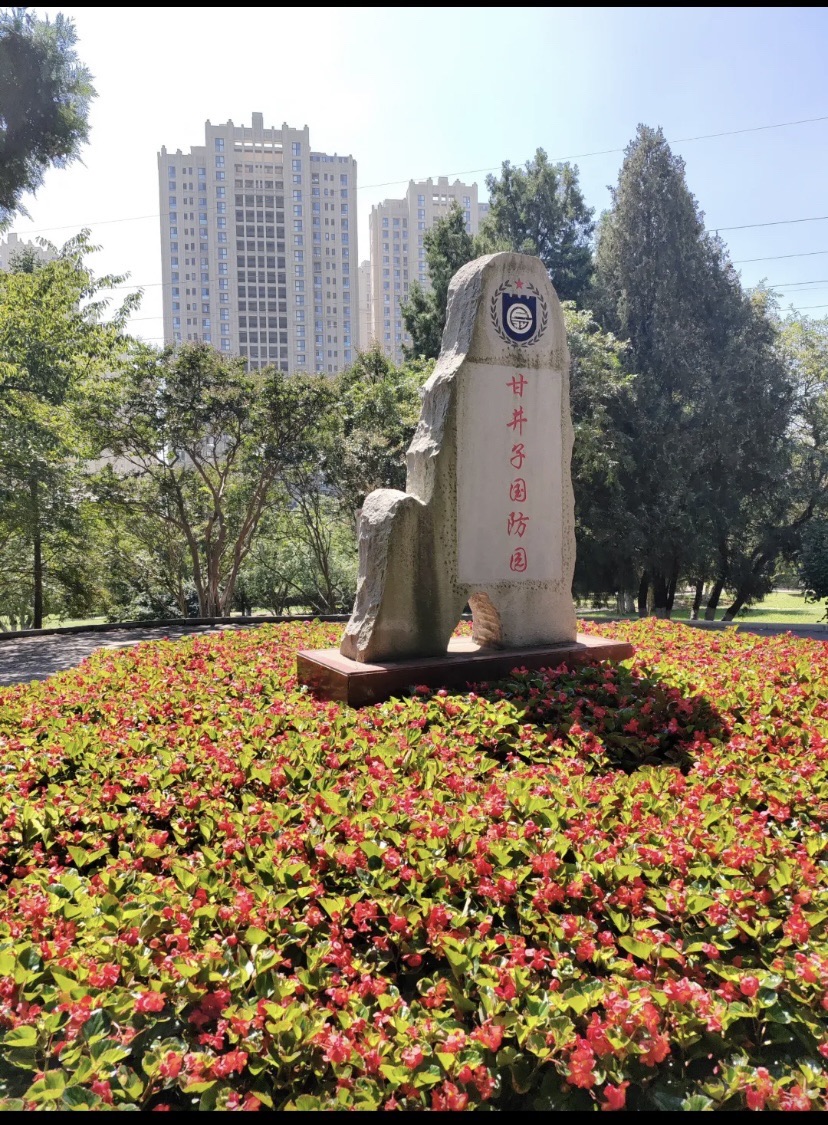 甘井子公园旅行图片 1
