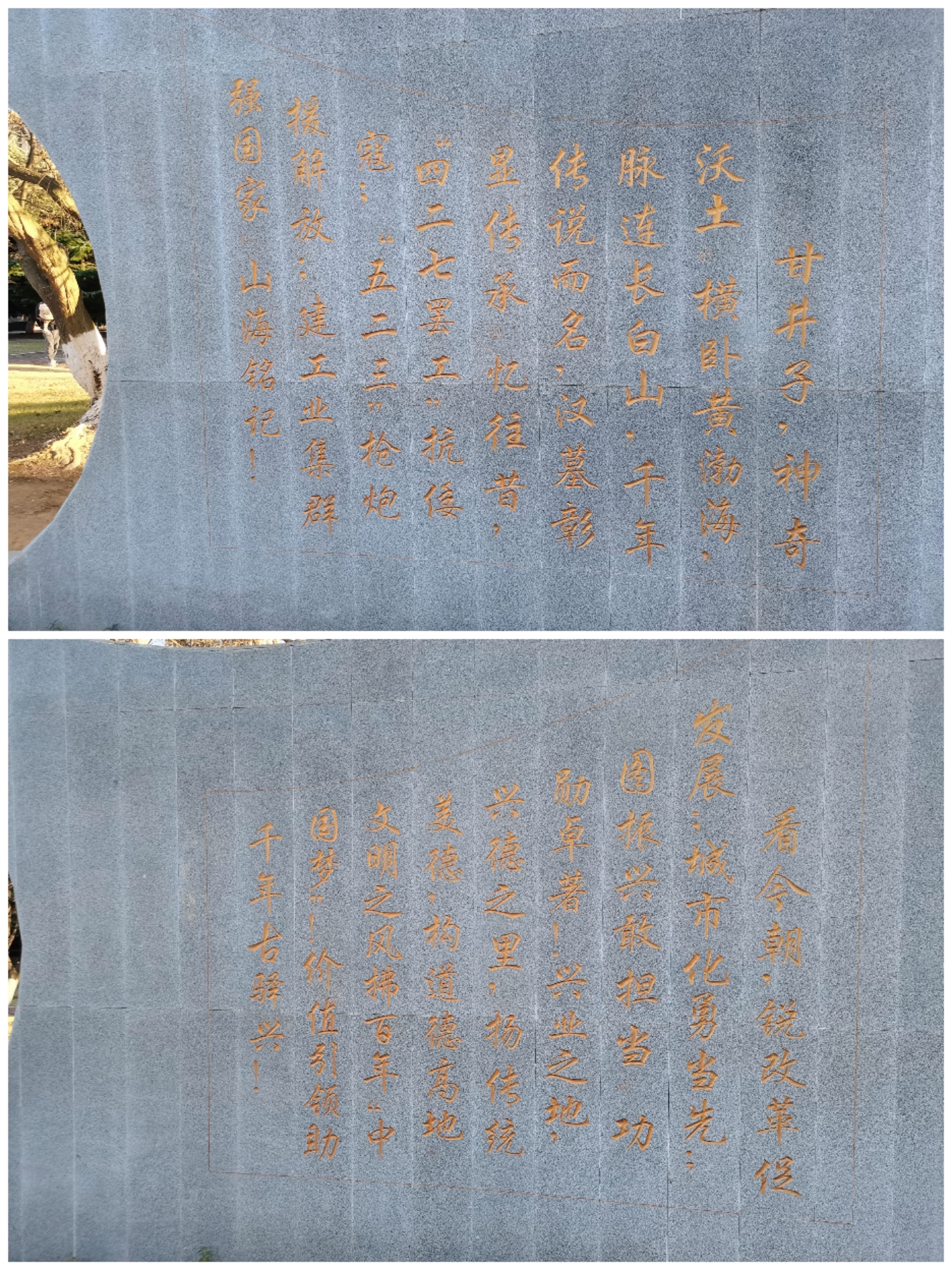 甘井子公园旅行图片 2