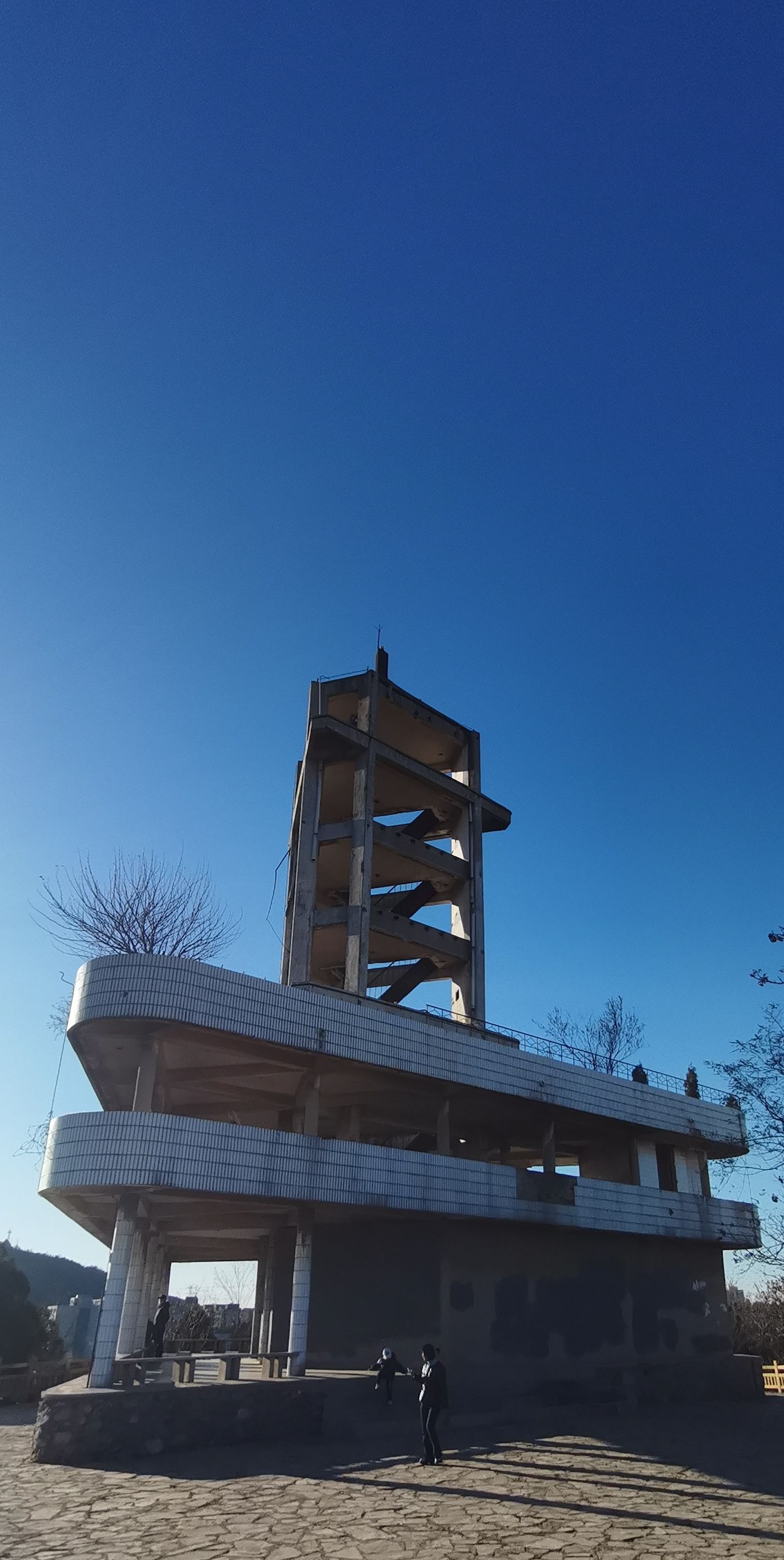 甘井子公园旅行图片 1