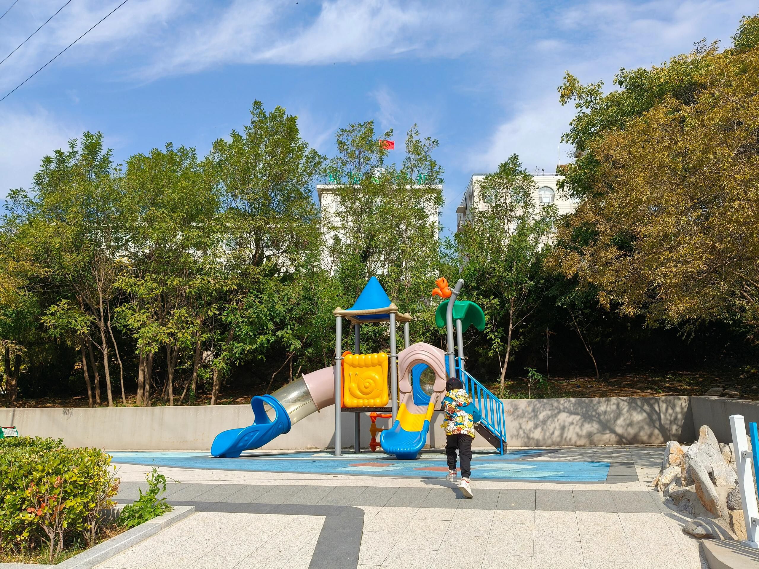 甘井子公园旅行图片 3