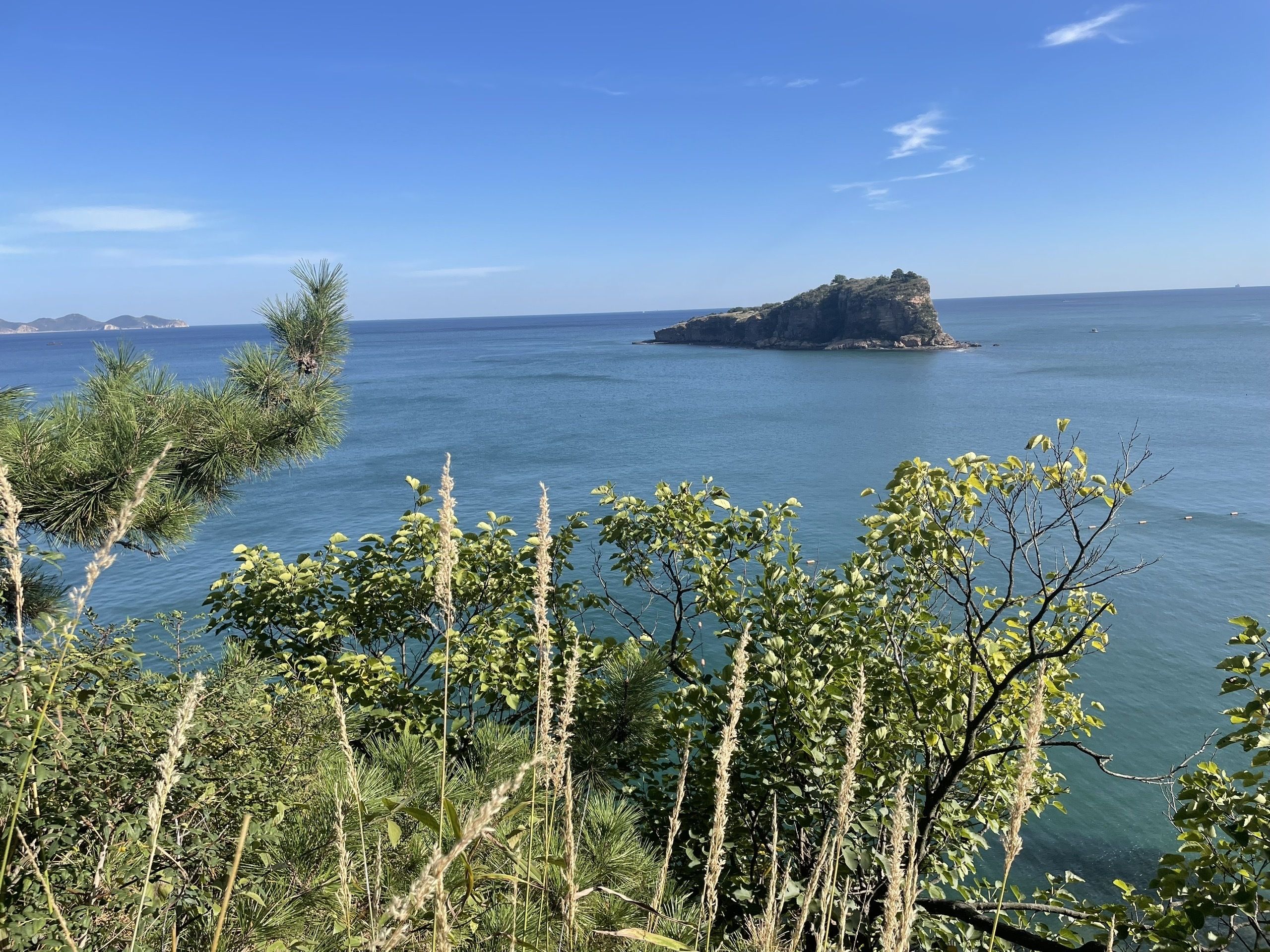 棒棰岛风景区旅行图片 1