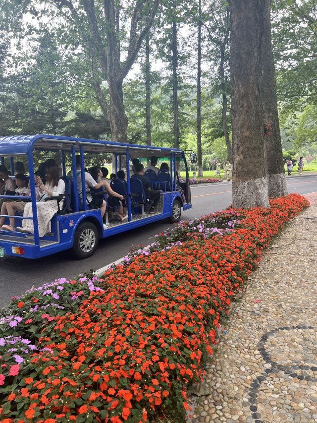 棒棰岛风景区旅行图片 2
